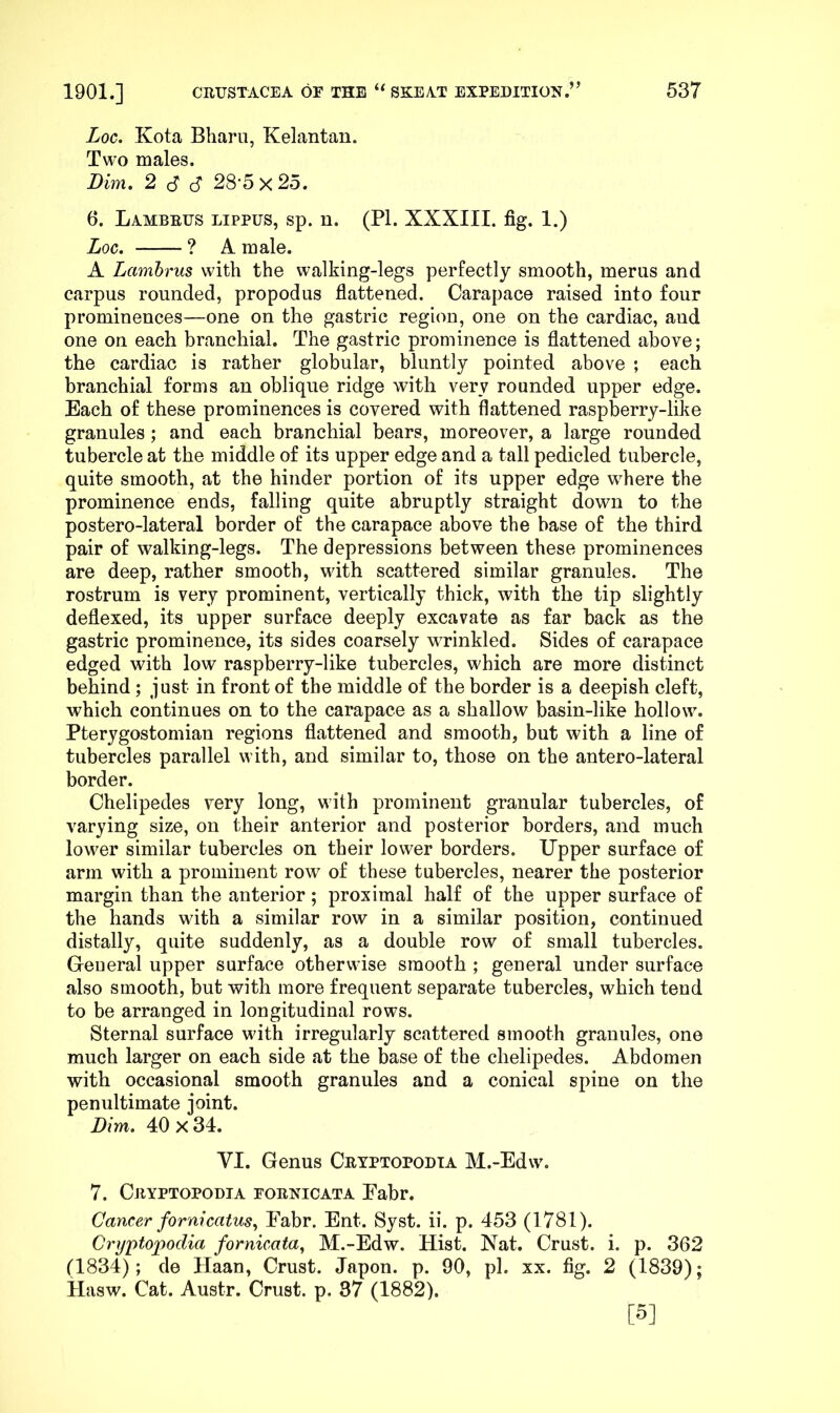 Log. Kota Bharii, Kelantan. Two males. Dim. 2 S 6 28 5x25. 6. Lambrus lippus, sp. n. (PI. XXXIII. fig. 1.) Log. ? A male. A Lambrus with the walking-legs perfectly smooth, merus and carpus rounded, propodus flattened. Carapace raised into four prominences—one on the gastric region, one on the cardiac, and one on each branchial. The gastric prominence is flattened above; the cardiac is rather globular, bluntly pointed above ; each branchial forms an oblique ridge with very rounded upper edge. Each of these prominences is covered with flattened raspberry-like granules; and each branchial bears, moreover, a large rounded tubercle at the middle of its upper edge and a tall pedicled tubercle, quite smooth, at the hinder portion of its upper edge where the prominence ends, falling quite abruptly straight down to the postero-lateral border of the carapace above the base of the third pair of walking-legs. The depressions between these prominences are deep, rather smooth, with scattered similar granules. The rostrum is very prominent, vertically thick, with the tip slightly deflexed, its upper surface deeply excavate as far back as the gastric prominence, its sides coarsely wrinkled. Sides of carapace edged with low raspberry-like tubercles, which are more distinct behind; just in front of the middle of the border is a deepish cleft, which continues on to the carapace as a shallow basin-like hollow. Pterygostomian regions flattened and smooth, but with a line of tubercles parallel with, and similar to, those on the antero-lateral border. Chelipedes very long, with prominent granular tubercles, of varying size, on their anterior and posterior borders, and much lower similar tubercles on their lower borders. Upper surface of arm with a prominent row of these tubercles, nearer the posterior margin than the anterior; proximal half of the upper surface of the hands with a similar row in a similar position, continued distally, quite suddenly, as a double row of small tubercles. General upper surface otherwise smooth ; general under surface also smooth, but with more frequent separate tubercles, which tend to be arranged in longitudinal rows. Sternal surface with irregularly scattered smooth granules, one much larger on each side at the base of the chelipedes. Abdomen with occasional smooth granules and a conical spine on the penultimate joint. Dim. 40 X 34. VI. Genus Crtptopodta M.-Edw. 7. Cryptopodia eornicata Eabr. Cancer forniGatus^ Eabr. Ent. Syst. ii. p. 453 (1781). Cryptopodia fornicata, M.-Edw. tiist. Nat. Crust, i. p. 362 (1834); de tlaan. Crust. Japon. p. 90, pi. xx. fig. 2 (1839); Hasw. Cat. Austr. Crust, p. 37 (1882). [5]
