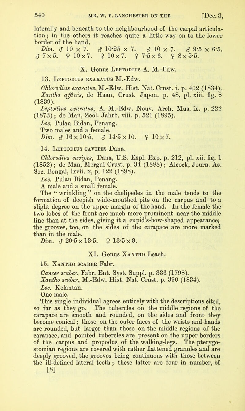 laterally and beneath to the neighbourhood of the carpal articula- tion ; in the others it reaches quite a little way on to the lower border of the hand. Dim. 6 10 X 7. S 10*25 x 7. d 10 x 7. 6 9*5 x 6*5. 6 7x5. $10x7. $10x7. $7*5x6. $8x5*5. X. Genus Leptodius A. M.-Edw. 13. Leptoditjs exaeatus M.-Edw. Chlorodiiis exaratus,M..-'EdiW. Hist. Nat. Crust, i. p. 402 (1834), Xaniho affinis^ de Haan, Crust. Japon. p. 48, pi. xiii. fig. 8 (1839). Leptodius exaratus^ A. M.-Edw. Nouv. Arch. Mus. ix. p. 222 (1873); de Man, Zool. Jahrb. viii. p. 521 (1895). Loc. Pulau Bidan, Penang. Two males and a female. Dim. 6 16x10*5. 6 14*5x10. $ 10x7. 14. Leptodius cavipes Dana. Ohlorodius cavipes, Dana, U.S. Expl. Exp. p. 212, pi. xii. fig. 1 (1852); de Man, Mergui Crust, p. 34 (1888) ; Alcock, Journ. As. Soc. Bengal, Ixvii. 2, p. 122 (1898). Loc. Pulau Bidan, Penang. A male and a small female. The “ wrinkling ” on the chelipedes in the male tends to the formation of deepish wide-mouthed pits on the carpus and to a slight degree on the upper margin of the hand. In the female the two lobes of the front are much more prominent near the middle line than at the sides, giving it a cupid’s-bow-shaped appearance; the grooves, too, on the sides of the carapace are more marked than in the male. Dim. d 20*5 X 13*5. $13*5x9. XI. Genus Xantho Leach. 15. Xantho scabee Eabr. Cancer sealer, Eabr. Ent. Syst. Suppl. p. 336 (1798). Xaniho scaler, M.-Edw. Hist. Nat. Crust, p. 390 (1834). Loc. Kelantan. One male. This single individual agrees entirely with the descriptions cited, so far as they go. The tubercles on the middle regions of the carapace are smooth and rounded, on the sides and front they become conical: those on the outer faces of the wrists and hands are rounded, but larger than those on the middle regions of the carapace, and pointed tubercles are present on the upper borders of the carpus and propodus of the walking-legs. The pterygo- stomian regions are covered with rather fiattened granules and are deeply grooved, the grooves being continuous with those between the ill-defined lateral teeth; these latter are four in number, bf [8]