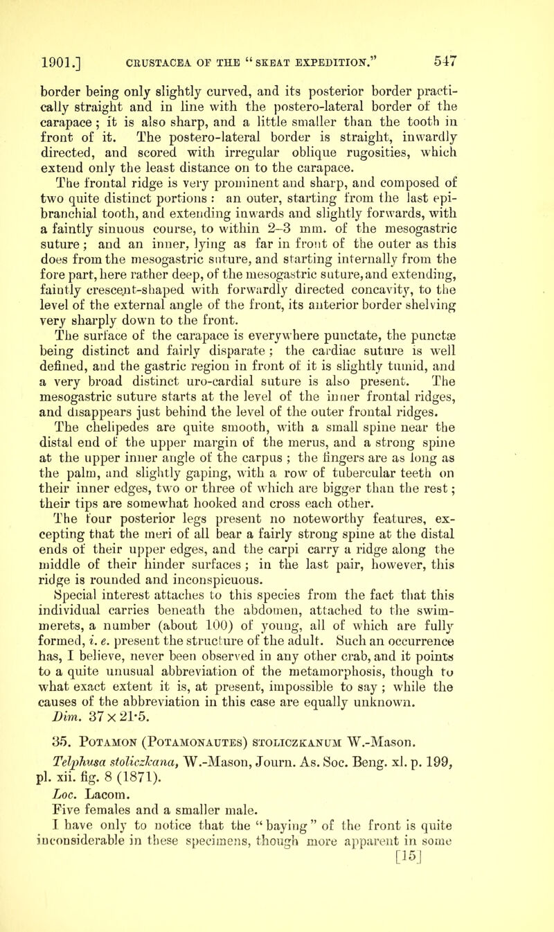 border being only slightly curved, and its posterior border practi- cally straight and in line with the ])ostero-lateral border of the carapace ; it is also sharp, and a little smaller than the tooth in front of it. The postero-lateral border is straight, inwardly directed, and scored with irregular oblique rugosities, which extend only the least distance on to the carapace. Tbe frontal ridge is very prominent and sharp, and composed of two quite distinct portions : an outer, starting from the last epi- branchial tooth, and extending inwards and slightly forwards, with a faintly sinuous course, to within 2-3 mm. of the mesogastric suture; and an inner, lying as far in front of the outer as this does from the mesogastric suture, and starting internally from the fore part, here rather deep, of the mesogastric suture, and extending, faintly crescejut-shaped with forwardly directed concavity, to the level of the external angle of the front, its anterior border shelving very sharply down to the front. The surface of the carapace is everywhere punctate, the punctsB being distinct and fairly disparate ; the cardiac suture is well defined, and the gastric region in front of it is slightly tumid, and a very broad distinct uro-cardial suture is also present. The mesogastric suture starts at the level of the inner frontal ridges, and disappears just behind the level of the outer frontal ridges. The chelipedes are quite smooth, with a small spine near the distal end of the upper margin of the merus, and a strong spine at the upper inner angle of t^he carpus ; the fingers are as long as the palm, and slightly gaping, with a row of tubercular teeth on their inner edges, two or three of which are bigger than the rest; their tips are somewhat hooked and cross each other. The four posterior legs present no noteworthy features, ex- cepting that the meri of all bear a fairly strong spine at the distal ends of their upper edges, and the carpi carry a ridge along the middle of their hinder surfaces ; in the last pair, however, this ridge is rounded and inconspicuous. Special interest attaches to this species from the fact that this individual carries beneath the abdomen, attached to the swim- merets, a number (about 100) of youug, all of which are fully formed, i. e. present the structure of the adult. ISuch an occurrence has, I believe, never been observed in any other crab, and it points to a quite unusual abbreviation of the metamorphosis, though to what exact extent it is, at present, impossible to say ; while the causes of the abbreviation in this case are equally unknown. Dim. 37x21-5. 35. POTAMON (POTAMONAUTES) STOLICZKANUM W.-MaSOn. Teljyhusa stoliczJcana, W.-Mason, Journ. As. Soc. Beng. xl. p. 199, pi. xii. fig. 8 (1871). Loc. Lacom. Five females and a smaller male. I have only to notice that the “ baying ” of the front is quite inconsiderable in these specimens, though more apparent in some [15J