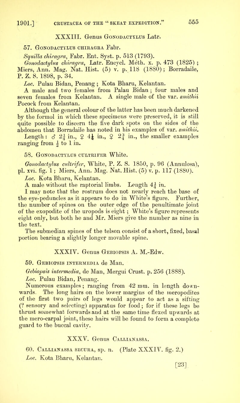 XXXIII. Genus Gonodacttlus Latr. 57. Gonodactylus chiragea Eabr. Squilla chiragra^ Eabr. Ent. 8yst. p. 513 (1793). Gonodactylus cliiragra, Latr. Encycl. Meth. x. p. 473 (1825) ; Miers, Ann. Mag. Xat. Hist. (5) v. p. 118 (1880); Borradaile, P. Z. S. 1898, p. 34. Loc. Pulau Bidan, Penang ; Kota Bharu, Kelantan. A male and two females from Palau Bidan ; four males and seven females from Kelantan. A single male of the var. smithii Pocoek from Kelantan. Although the general colour of the latter has been much darkened by the formol in which these specimens were preserved, it is still quite possible to discern the five dark spots on the sides of the abdomen that Borradaile has noted in his examples of var. smithii. Length : S in., $ 4J in., $ 2| in., the smaller examples ranging from ^ to 1 in. 58. Gonodactylus cultrifbr White. Gonodactylus culirifer, White, P. Z. S. 1850, p. 96 (Anniilosa), pi. xvi. fig. 1; Miers, Ann. Mag. Nat. Hist. (5) v. p. 117 (1880). Loc. Kota Bharu, Kelantan. A male without the raptorial limbs. Length 4| in. I may note that the rostrum does not nearly reach the base of the eye-peduncles as it appears to do in White's figure. Further, the number of spines on the outer edge of the penultimate joint of the exopodite of the uropods is eight; White’s figure represents eight only, but both he and Mr. Miers give the number as nine in the text. The submedian spines of the telson consist of a short, fixed, basal portion bearing a slightly longer movable spine. XXXIV. Genus Gebiopsis A. M.-Edw. 59. Gebiopsis intermedia de Man. Gehiopsis intermedia., de Man, Mergui Crust, p. 256 (1888). Log. Pulau Bidan, Penang. Numerous examples ; ranging from 42 mm. in length down- wards. The long hairs on the lower margins of the meropodites of the first two pairs of legs would appear to act as a sifting (? sensory and selecting) apparatus for food; for if these legs be thrust somewhat forwards and at the same time flexed upwards at the mero-carpal joint, these hairs will be found to form a complete guard to the buccal cavity. XXXV. Genus Callianassa. 60. Callianassa secura, sp. n. (Plate XXXIV. fig. 2.) Loc. Kota Bharu, Kelantan. [23]