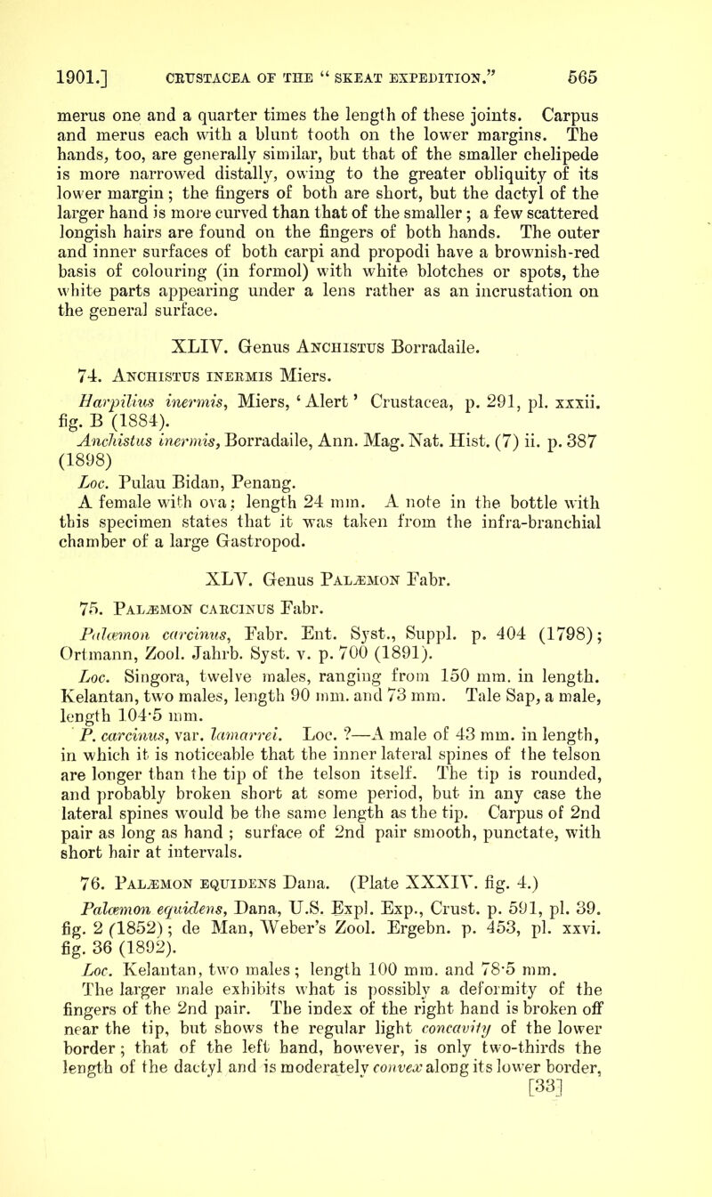 merus one and a quarter times the length of these joints. Carpus and merus each with a blunt tooth on the lower margins. The hands, too, are generally similar, but that of the smaller chelipede is more narrowed distally, owing to the greater obliquity of its lower margin; the fingers of both are short, but the dactyl of the larger hand is more curved than that of the smaller; a few scattered longish hairs are found on the fingers of both hands. The outer and inner surfaces of both carpi and propodi have a brownish-red basis of colouring (in formol) with white blotches or spots, the white parts appearing under a lens rather as an incrustation on the general surface. XLIV. Genus Anciiistus Borradaile. 74. Ahchistus inermis Miers. Harpilius inermis^ Miers, ‘ Alert ’ Crustacea, p. 291, pi. xxxii. fig. B (1884). AncJiistus inermis, Borradaile, Ann. Mag. Nat. Hist. (7) ii. p. 387 (1898) Loc. Pulau Bidan, Penang. A female with ova ; length 24 mm. A note in the bottle with this specimen states that it was taken from the infra-branchial chamber of a large Gastropod. XLV. Genus Palaimon Pabr. 75. PALiEMON CARCiNUS Pabr. Palcemon mrcmus^ Pabr. Put. Syst., Suppl. p. 404 (1798); Ortmann, Zool. Jahrb. Syst. v. p. 700 (1891). Loc. Singora, twelve males, ranging from 150 mm. in length. Kelantan, two males, length 90 mm. and 73 mm. Tale Sap, a male, length 104-5 mm. P. carcinus^ var. lamarrei. Loc. ?—K male of 43 mm. in length, in which it is noticeable that the inner lateral spines of the telson are longer than the tip of the telson itself. The tip is rounded, and probably broken short at some period, but in any case the lateral spines would be the same length as the tip. Carpus of 2nd pair as long as hand ; surface of 2nd pair smooth, punctate, with short hair at intervals. 76. PALA3MON EQuiDENS Dana. (Plate XXXIV. fig. 4.) Palcemon ecpiidens, Dana, U.S. Expl. Exp., Crust, p. 591, pi. 39. fig. 2 (1852); de Man, Weber’s Zool. Ergebn. p. 453, pi. xxvi. fig. 36 (1892). Loc. Kelantan, two males; length 100 mm. and 78-5 mm. The larger male exhibits what is possibly a deformity of the fingers of the 2nd pair. The index of the right hand is broken off near the tip, but shows the regular light concavHy of the lower border ; that of the left hand, however, is only two-thirds the length of the dactyl and is moderatelv along its lower border, [33]