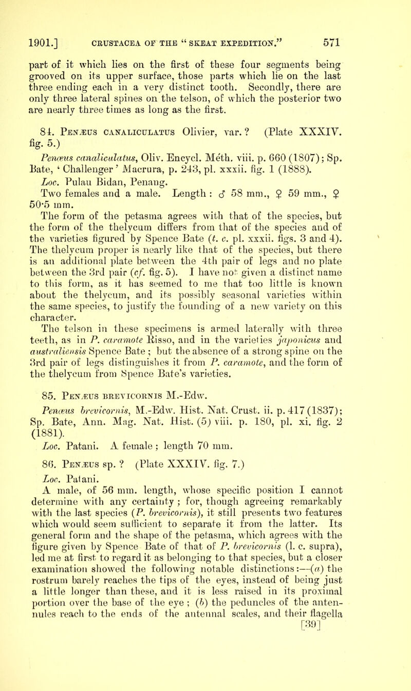 part of it which lies on the first of these four segments being grooved on its upper surface, those parts which lie on the last three ending each in a very distinct tooth. Secondly, there are only three lateral spines on the telson, of which the posterior two are nearly three times as long as the first. 81. Pen.efs cahaliculatus Olivier, var. ? (Plate XXXIV. %• 5.) Penceus cancdiculatus, Oliv. Encycl. Meth. viii. p. 660 (1807); Sp. Pate, ‘ Challenger’ Macrura, p. 243, pi. xxxii. fig. 1 (1888). Loc. Pulau Bidan, Penang. Two females and a male. Length : S 58 mm., 5 59 mm., $ 50‘5 mm. The form of the petasma agrees with that of the species, but the form of the thelycum differs from that of the species and of the varieties figured by Spence Bate {t. c. pi. xxxii. figs. 3 and 4). The thelycum proper is nearly like that of the species, but there is an additional plate between the 4th pair of legs and no plate between the 3rd pair (ef. fig. 5). I have not given a distinct name to this form, as it has seemed to me that too little is known about the thelycum, and its possibly seasonal varieties within the same species, to justify the founding of a new variety on this character. The telson in these specimens is armed laterally with three teeth, as in P. caramote Bisso, and in the varieties japonicus and australiensis Spence Bate ; hut the absence of a strong spine on the 3rd pair of legs distinguishes it from P. caramote, and the form of the thelycum from Spence Bate’s varieties. 85. PElSTyEUS BREYICOENIS M.-Edw. Penceus brevicornis, M.-Edw. Hist. Xat. Crust, ii. p. 417 (1837); Sp. Bate, Ann. Mag. Nat. Hist. (5j viii. p. 180, pi. xi. fig. 2 (1881). Loc. Patani. A female ; length 70 mm. 86. PENiEus sp. ? (Plate XXXIV. fig. 7.) Loc. Patani. A male, of 56 mm. length, whose specific position I cannot determine with any certainty ; for, though agreeing remarkably with the last species (P. hrevicornis), it still presents two features which would seem sufficient to separate it from the latter. Its general form and the shape of the petasma, which agrees with the figure given by Spence Bate of that of P. hrevicornis (1. c. supra), led me at first to regard it as belonging to that species, but a closer examination showed the following notable distinctions:—{a) the rostrum barely reaches the tips of the eyes, instead of being just a little longer than these, and it is less raised in its proximal portion over the base of the eye ; {h) the peduncles of the anten- nules reach to the ends of the antennal scales, and their flagella