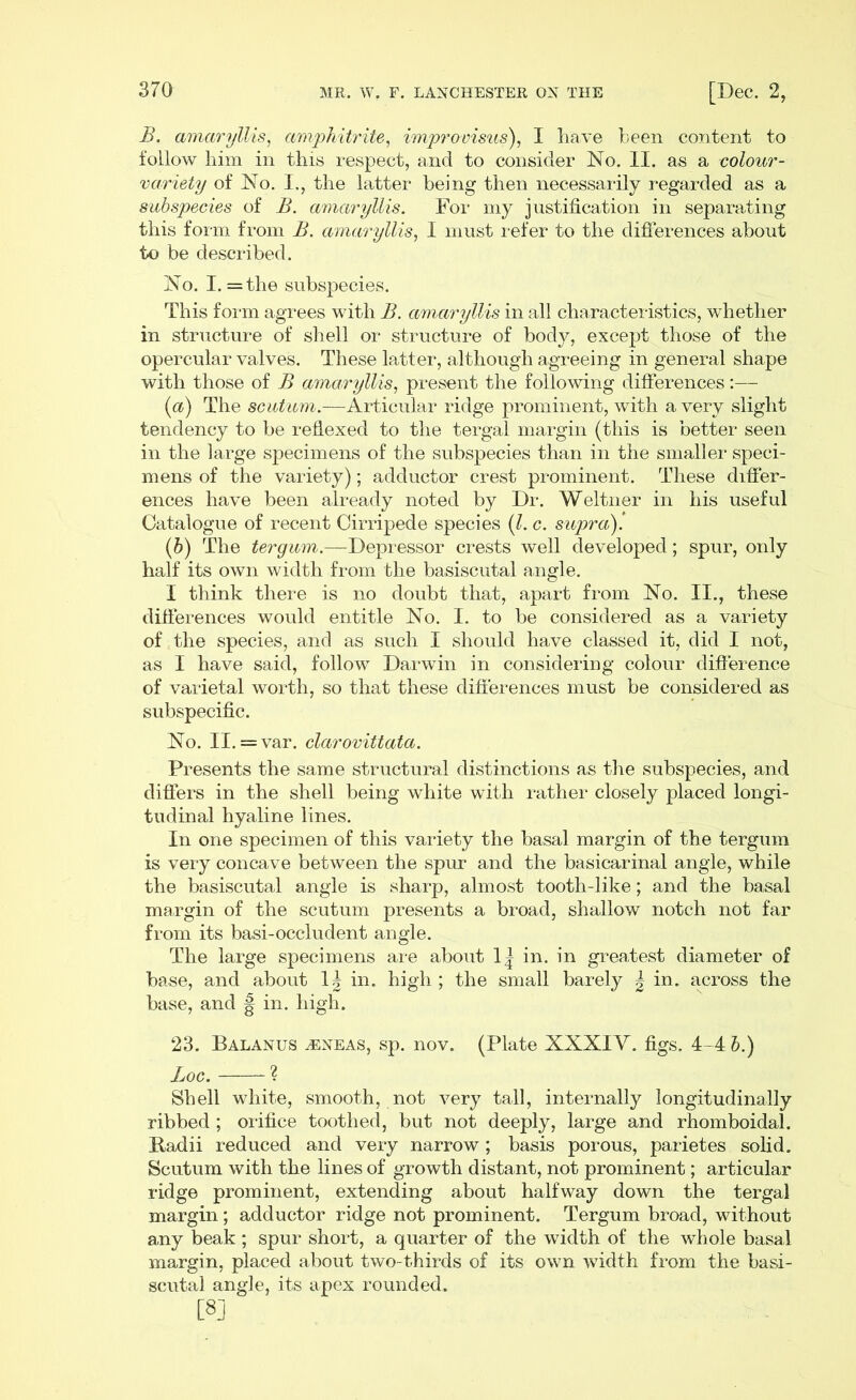 B. amaryllis, amphitrite, improvisus), I have been content to follow him in this respect, and to consider No. II. as a colour - variety of No. I., the latter being then necessarily regarded as a subspecies of B. amaryllis. For my justification in separating this form from B. amaryllis, I must refer to the differences about to be described. No. I. =the subspecies. This form agrees with B. amaryllis in all characteristics, whether in structure of shell or structure of body, except those of the opercular valves. These latter, although agreeing in general shape with those of B amaryllis, present the following differences [a) The scutum.—Articular ridge prominent, with a very slight tendency to be reflexed to the tergal margin (this is better seen in the large specimens of the subspecies than in the smaller speci- mens of the variety); adductor crest prominent. These differ- ences have been already noted by Dr. Weltner in his useful Catalogue of recent Cirripede species (l. c. supra) '. (b) The tergum.—Depressor crests well developed ; spur, only half its own width from the basiscutal angle. I think there is no doubt that, apart from No. II., these differences would entitle No. I. to be considered as a variety of the species, and as such I should have classed it, did I not, as I have said, follow Darwin in considering colour difference of varietal worth, so that these differences must be considered as subspecific. No. II. = var. clarovittata. Presents the same structural distinctions as the subspecies, and differs in the shell being white with rather closely placed longi- tudinal hyaline lines. In one specimen of this variety the basal margin of the tergum is very concave between the spur and the basicarinal angle, while the basiscutal angle is sharp, almost tooth-like; and the basal margin of the scutum presents a broad, shallow notch not far from its basi-occludent angle. The large specimens are about 1| in. in greatest diameter of base, and about 1| in. high ; the small barely | in. across the base, and § in. high. 23. Balanus ^eneas, sp. nov. (Plate XNXIY. figs. 4-4 b.) Loc. ? Shell white, smooth, not very tall, internally longitudinally ribbed ; orifice toothed, but not deeply, large and rhomboidal. Badii reduced and very narrow; basis porous, parietes solid. Scutum with the lines of growth distant, not prominent; articular ridge prominent, extending about halfway down the tergal margin; adductor ridge not prominent. Tergum broad, without any beak ; spur short, a quarter of the width of the whole basal margin, placed about two-thirds of its own width from the basi- scutal angle, its apex rounded.