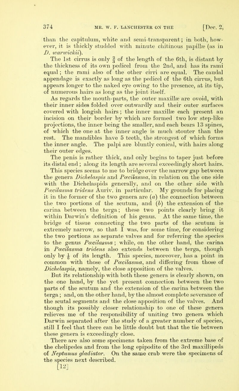 than the capitulum, white and semi-transparent; in both, how- ever, it is thickly studded with minute chitinous papillae (as in I), warwickii). The 1st cirrus is only § of the length of the 6th, is distant by the thickness of its own pedicel from the 2nd, and has its rami equal; the rami also of the other cirri are equal. The caudal appendage is exactly as long as the pedicel of the 6th cirrus, but appears longer to the naked eye owing to the presence, at its tip, of numerous hairs as long as the joint itself. As regards the mouth-parts, the outer maxillae are ovoid, with their inner sides folded over outwardly and their outer surfaces covered with longish hairs; the inner maxillae each present an incision on their border by which are formed two low step-like projections, the inner being the smaller, and each bears 13 spines, of which the one at the inner angle is much stouter than the rest. The mandibles have 5 teeth, the strongest of which forms the inner angle. The palpi are bluntly conical, with hairs along their outer edges. The penis is rather thick, and only begins to taper just before its distal end ; along its length are several exceedingly short hairs. This species seems to me to bridge over the narrow gap between the genera Dichelaspis and Pcecilasma, in relation on the one side with the Dichelaspids generally, and on the other side with Pcecilasma tridens Auriv. in particular. My grounds for placing it in the former of the two genera are (a) the connection between the two portions of the scutum, and (b) the extension of the carina between the terga; these two points clearly bring it within Darwin’s definition of his genus. At the same time, the bridge of tissue connecting the two parts of the scutum is extremely narrow, so that I was, for some time, for considering the two portions as separate valves and for referring the species to the genus Pcecilasma; while, on the other hand, the carina in Pcecilasma tridens also extends between the terga, though only by £ of its length. This species, moreover, has a point in common with those of Pcecilasma, and differing from those of Dichelaspis, namely, the close apposition of the valves. But its relationship with both these genera is clearly shown, on the one hand, by the yet present connection between the two parts of the scutum and the extension of the carina between the terga; and, on the other hand, by the almost complete severance of the scutal segments and the close apposition of the valves. And though its possibly closer relationship to one of these genera relieves me of the responsibility of uniting two genera which Darwin separated after the study of a greater number of species, still I feel that there can be little doubt but that the tie between these genera is exceedingly close. There are also some specimens taken from the extreme base of the chelipedes and from the long epipodite of the 3rd maxillipeds of Neptunus gladiator. On the same crab were the specimens of the species next described. [12]