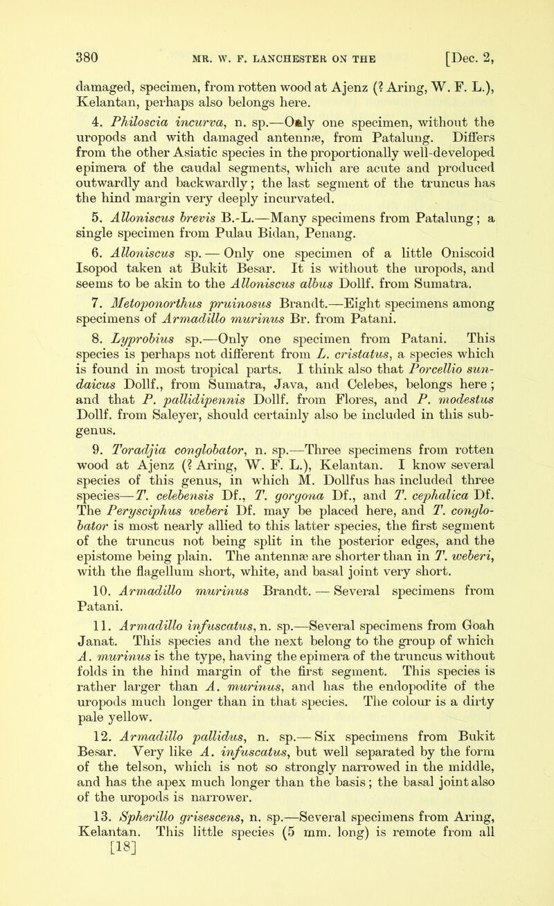 damaged, specimen, from rotten wood at Ajenz (? Aring, W. F. L.), Kelantan, perhaps also belongs here. 4. Philoscia incur va, n. sp.—Oidy one specimen, without the uropods and with damaged antennae, from Patalung. Differs from the other Asiatic species in the proportionally well-developed epimera of the caudal segments, which are acute and produced outwardly and backwardly; the last segment of the truncus has the hind margin very deeply incurvated. 5. Alloniscus brevis B.-L.—Many specimens from Patalung; a single specimen from Pulau Bidan, Penang. 6. Alloniscus sp. — Only one specimen of a little Oniscoid Isopod taken at Bukit Besar. It is without the uropods, and seems to be akin to the Alloniscus albus Dollf. from Sumatra. 7. Metoponorthus pruinosus Brandt.—Eight specimens among specimens of Armadillo murinus Br. from Patani. 8. Lyprobius sp.—Only one specimen from Patani. This species is perhaps not different from L. cristatus, a species which is found in most tropical parts. I think also that Porcellio sun- daicus Dollf., from Sumatra, Java, and Celebes, belongs here ; and that P. pallidipennis Dollf. from Flores, and P. modestus Dollf. from Saleyer, should certainly also be included in this sub- genus. 9. Toradjia conglobator, n. sp.—Three specimens from rotten wTood at Ajenz (? Aring, W. F. L.), Kelantan. I know several species of this genus, in which M. Dollf us has included three species—T. celebensis Df., T. gorgona Df., and T. cephalica Df. The Perysciphus weberi Df. may be placed here, and T. conglo- bator is most nearly allied to this latter species, the first segment of the truncus not being split in the posterior edges, and the epistome being plain. The antenna? are shorter than in T. weberi, with the flagellum short, white, and basal joint very short. 10. Armadillo murinus Brandt. — Several specimens from Patani. 11. Armadillo infuscatus,n. sp.—Several specimens from Goah Janat. This species and the next belong to the group of which A. murinus is the type, having the epimera of the truncus without folds in the hind margin of the first segment. This species is rather larger than A. murinus, and has the endopodite of the uropods much longer than in that species. The colour is a dirty pale yellow. 12. Armadillo pallidus, n. sp.— Six specimens from Bukit Besar. Very like A. infuscatus, but well separated by the form of the telson, which is not so strongly narrowed in the middle, and has the apex much longer than the basis; the basal joint also of the uropods is narrower. 13. Spherillo grisescens, n. sp.—Several specimens from Aring, Kelantan. This little species (5 mm. long) is remote from all [18]