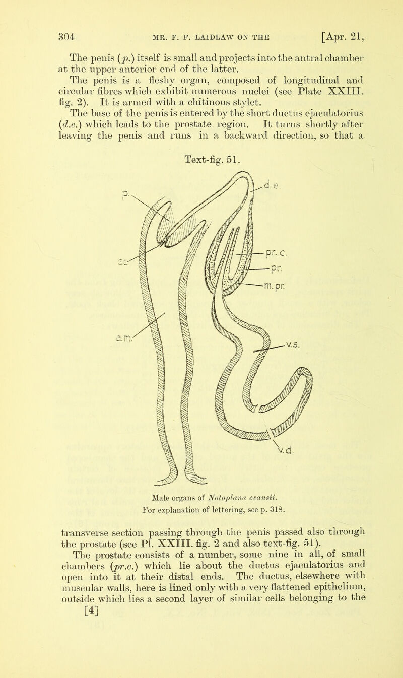 The penis (p.) itself is small and projects into the antral chamber at the upper anterior end of the latter. The penis is a fleshy organ, composed of longitudinal and circular fibres which exhibit numerous nuclei (see Plate XXIII. fig. 2). It is armed with a chitinous stylet. The base of the penis is entered by the short ductus ejaculatorius (d.e.) which leads to the prostate region. It turns shortly after leaving the penis and runs in a backward direction, so that a Text-fig. 51. Male organs of Notojplana evansii. For explanation of lettering, see p. 318. transverse section passing through the penis passed also through the prostate (see PI. XXIII. fig. 2 and also text-fig. 51). The prostate consists of a number, some nine in all, of small chambers (pr.c.) which lie about the ductus ejaculatorius and open into it at their distal ends. The ductus, elsewhere with muscular walls, here is lined only with a very flattened epithelium, outside which lies a second layer of similar cells belonging to the M