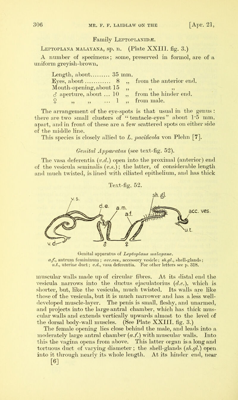 Family Leptoplanid^e. Leptoplana malayana, sp. n. (Plate XXIII. fig. 3.) A number of specimens; some, preserved in formol, are of a uniform greyish-brown. Length, about 35 mm. Eyes, about 8 ,, from the anterior end. Mouth-opening, about 15 ,, ,, ,, S aperture, about ... 10 ,, from the hinder end. $ „ ,, ... 1 ,, from male. The arrangement of the eye-spots is that usual in the genus : there are two small clusters of “ tentacle-eyes ” about 1’5 mm. apart, and in front of these are a few scattered spots on either side of the middle line. This species is closely allied to L. pacihcola von Plehn [7]. Genital Apparatus (see text-fig. 52). The vasa deferentia (v.d.) open into the proximal (anterior) end of the vesicula seminalis (v.s.); the latter, of considerable length and much twisted, is lined with ciliated epithelium, and has thick Text-fig. 52. Genital apparatus of Leptoplana malayana. a.f., antrum femininum ; acc.ves., accessory vesicle; sh.gl., shell-glands; u.t., uterine duct; v.d., vasa deferentia. For other letters see p. 318. muscular walls made up of circular fibres. At its distal end the vesicula narrows into the ductus ejaculatorius (d.e.), which is shorter, but, like the vesicula, much twisted. Its walls are like those of the vesicula, but it is much narrower and has a less well- developed muscle-layer. The penis is small, fleshy, and unarmed, and projects into the large antral chamber, which has thick mus- cular walls and extends vertically upwards almost to the level of the dorsal body-wall muscles. (See Plate XXIII. fig. 3.) The female opening lies close behind the male, and leads into a moderately large antral chamber (a.f.) with muscular walls. Into this the vagina opens from above. This latter organ is a long and tortuous duct of varying diameter ; the shell-glands (sh.gl.) open into it through nearly its whole length. At its hinder end, near [6]