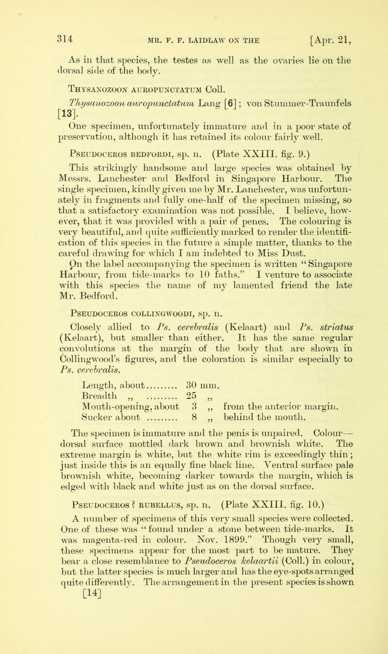 As in that species, the testes as well as the ovaries lie on the dorsal side of the body. Thysanozoon auropunctatum Coll. Thysanozoon auropunctatum Lang [6]; von Stummer-Traunfels [13]. One specimen, unfortunately immature and in a poor state of preservation, although it has retained its colour fairly well. Pseudoceros bedfordi, sp. n. (Plate XXIII. fig. 9.) This strikingly handsome and large species was obtained by Messrs. Lanchester and Bedford in Singapore Harbour. The single specimen, kindly given me by Mr. Lanchester, was unfortun- ately in fragments and fully one-half of the specimen missing, so that a satisfactory examination was not possible. I believe, how- ever, that it was provided with a pair of penes. The colouring is very beautiful, and quite sufficiently marked to render the identifi- cation of this species in the future a simple matter, thanks to the careful drawing for which I am indebted to Miss Dust. On the label accompanying the specimen is written “ Singapore Harbour, from tide-marks to 10 faths.” I venture to associate with this species the name of my lamented friend the late Mr. Bedford. Pseudoceros collingwoodi, sp. n. Closely allied to Ps. cerebralis (Kelaart) and Ps. striatus (Kelaart), but smaller than either. It has the same regular convolutions at the margin of the body that are shown in Collingwood’s figures, and the coloration is similar especially to Ps. cerebralis. Length, about 30 mm. Breadth „ 25 ,, Mouth-opening, about 3 ,, from the anterior margin. Sucker about 8 „ behind the mouth. The specimen is immature and the penis is unpaired. Colour— dorsal surface mottled dark brown and brownish white. The extreme margin is white, but the white rim is exceedingly thin; just inside this is an equally fine black line. Ventral surface pale brownish white, becoming darker towards the margin, which is edged with black and white just as on the dorsal surface. Pseudoceros? rubellus, sp. n. (Plate XXIII. fig. 10.) A number of specimens of this very small species were collected. One of these was “ found under a stone between tide-marks. It was magenta-red in colour. Xov. 1899.” Though very small, these specimens appear for the most part to be mature. They bear a close resemblance to Pseudoceros kelaartii (Coll.) in colour, but the latter species is much larger and has the eye-spots arranged quite differently. The arrangement in the present species is shown [14]