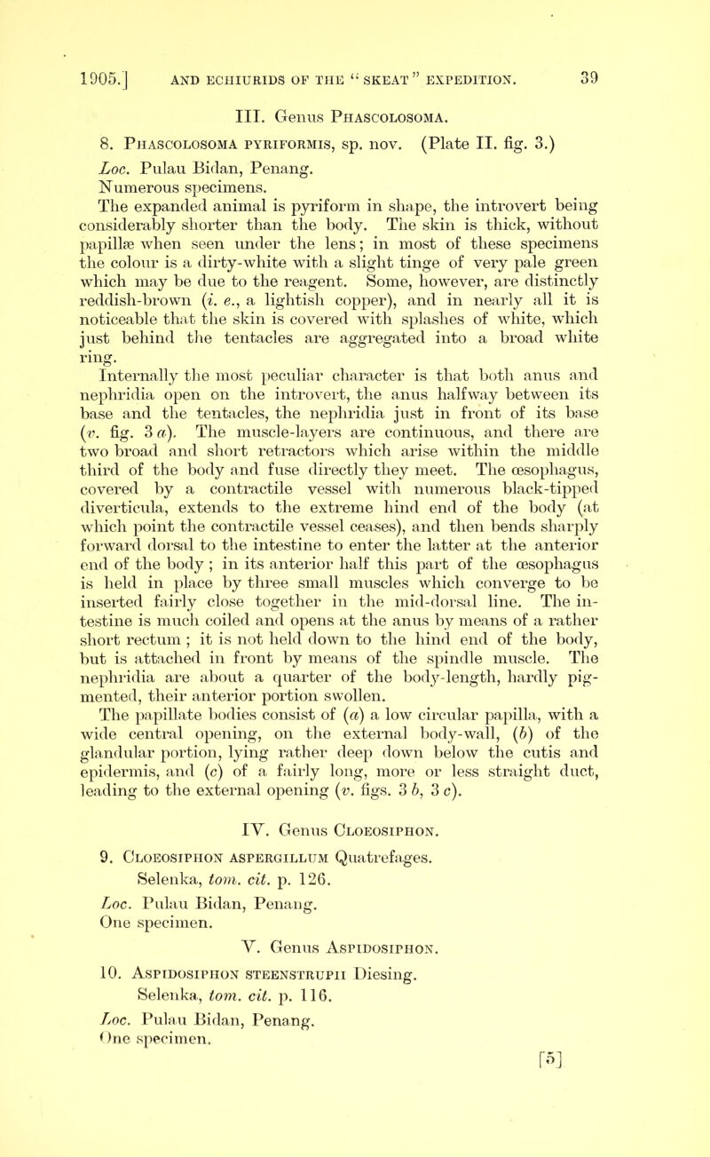 III. Genus Phascolosoma. 8. Phascolosoma pyriformis, sp. nov. (Plate II. fig. 3.) Log. Pulau Bidan, Penang. Numerous specimens. The expanded animal is pyriform in shape, the introvert being considerably shorter than the body. The skin is thick, without papillae when seen under the lens; in most of these specimens the colour is a dirty-white with a slight tinge of very pale green which may be due to the reagent. Some, however, are distinctly reddish-brown {i. e., a lightish copper), and in nearly all it is noticeable that the skin is covered with splashes of white, which just behind tlie tentacles are aggregated into a broad white ring. Internally the most peculiar character is that both anus and nephridia open on the introvert, the anus halfway between its base and the tentacles, the nephridia just in front of its base (v. fig. 3 a). The muscle-layers are continuous, and there are two broad and short retractors which arise within the middle third of the body and fuse directly they meet. The oesophagus, covered by a contractile vessel with numerous black-tipped diverticula, extends to the extreme hind end of the body (at which point the contractile vessel ceases), and then bends sharply forward dorsal to the intestine to enter the latter at the anterior end of the body ; in its anterior half this part of the oesophagus is held in place by three small muscles which converge to be inserted fairly close together in the mid-dorsal line. The in- testine is much coiled and opens at the anus by means of a rather short rectum ; it is not held down to the hind end of the body, but is attached in front by means of the spindle muscle. The nephridia are about a quarter of the body-length, hardly pig- mented, their anterior portion swollen. The papillate bodies consist of {a) a low circular papilla, with a wide central opening, on the external body-wall, {h) of the glandular portion, lying rather deep down below the cutis and epidermis, and (c) of a fairly long, more or less straight duct, leading to the external opening {v. figs. 3 6, 3 c). lY. Genus Cloeosiphon. 9. Cloeosiphon aspergillum Quatrefages. Selenka, tom. cit. p. 126. Log. Pulau Bidan, Penaug. One specimen. Y. Genus Aspidosiphon. 10. Aspidosiphon steenstrupii Diesing. Selenka, tom. cit. p. 116. Log. Pulau Bidan, Penang. ^ )ne specimen. I's]