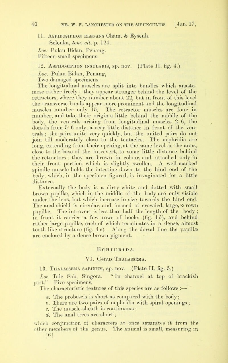 11. AsriDOSiPHON ELEGANS Cham, ife Eysenh. Selenka, to?n. cit. p. 124. Loc. Pulau Bidan, Penang. Fifteen small specimens. 12. Aspidosiphon insularis, sp. nov. (Plate II. fig. 4.) Log. Pulau Bidan, Penang, Two damaged specimens. Tlie longitudinal muscles are split into bundles which anasto- mose rather freely ; they appear stronger behind the level of the retractors, where they number about 22, but in front of this level the transverse bands appeal* more prominent and the longitudinal muscles number only 15. The retractor muscles are four in number, and take their origin a little behind the middle of the body, the ventrals arising from longitudinal muscles 2-6, the dorsals from 5-6 only, a veiy little distance in front of the ven- trals ; the pairs unite very quickly, but the united pairs do not join till moderately close to the tentacles. The nephridia are long, extending from their opening, at the same level as the anus, close to the base of the introvert, to some little distance behind the retractors ; they are brown in colour, and attached only in their front portion, which is slightly swollen. A well-marked spindle-muscle holds the intestine down to the hind end of the body, which, in the specimen figured, is invaginated for a little distance. Externally the body is a dirty-white and dotted with small brown papillae, which in the middle of the body are only visible under the lens, but which increase in size towards the hind end. The anal shield is circulai*, and formed of crowded, large,rown papillae. The introvert is less than half the length of the body ; in front it carries a few rows of hooks (fig. 4 h), and behind rather large papillae, each of which terminates in a dense, almost tooth-like structure (fig. 4 c). Along the dorsal line the papillae are enclosed by a dense bi*own pigment. Echiurida. YI. Genus Thalassbma. 13. Thalassema sabinum, sp. nov. (Plate II. fig. 5.) Loc. Tale Sab, Singora. “ In channel at top of brackish part.” Five specimens. Tlie characteristic features of this species are as follows ;— a. The proboscis is short as compared with the body; h. There are two pairs of nephridia with spiral openings ; c. The muscle-sheath is continuous ; d. The anal trees are short; which conjunction of characters at once separates it from the other members of the genus. The animal is small, measuring in rfii