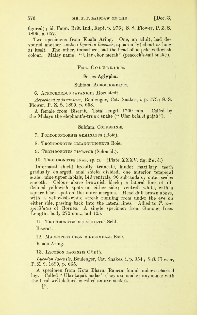 figured); id. Faun. Brit. Ind.,Eept. p. 276 ; S. S. Flower, P.Z. S. 1899, p. 657. Two specimens from Kuala Aring. One, an adult, bad de- voured another snate {Lycodon laoensis, apparently) about as long as itself. The other, immature, had the head of a pale yellowish colour. Malay name : “ Ular ekor merak (peacock^s-tail snake). Fam. COLTTBRID^. Series Agly^ha. Subfam. Aceoohordin^. 6. Acrochobdus javanicus Hornstedt. Acrocliordus javanicus^ Boulenger, Cat. Snakes, i. p. 173; S. S, Flower, P. Z. S. 1899, p. 658. A female from Bisernt. Total length 1700 mm. Called by the Malays the elephant’s-trunk snake (“ Ular belalei gajah ”). Subfam. Colfbbin^. 7. POLYODONTOPHTS GEMINATES (Boie). 8. Tropidonotus tbianguligeetjs Boie. 9. Tropidonotus pisoator (Schneid.). 10. Tropidonotus inas, sp. n. (Plate XXXV. fig. 2 a, h.) Internasal shield broadly truncate, hinder maxillary teeth gradually enlarged, anal shield divided, one anterior temporal scale ; nine upper labials, 143 ventrals, 96 subcaudals ; outer scales smooth. Colour above brownish black; a lateral line of ill- defined yellowish spots on either side; ventrals white, with a square black spot on the outer margins. Head dull brown above, M’ith a yellowish-white streak running from under the eye on either side, passing back into the lateral lines. Allied to T. con^ spicillatus of Borneo. A single specimen from Gunong Inas. Length : body 272 mm., tail 125. 11. Tropidonotus subminiatus Schl. Biserat. 12. Macropisthodon rhodomelas Boie. Kuala Aring. 13. Lycodon laoensis GUnth. Lifcodon laoensis, Boulenger, Cat. Snakes, i. p. 354 ; S. S. Flower, P. Z. S. 1899, p. 665. A specimen from Kota Bharu, Baman, found under a charred log. Called “ Ular kapak malas” (lazy axe-snake; any snake with the head well defined is called an axe-snake). [2]