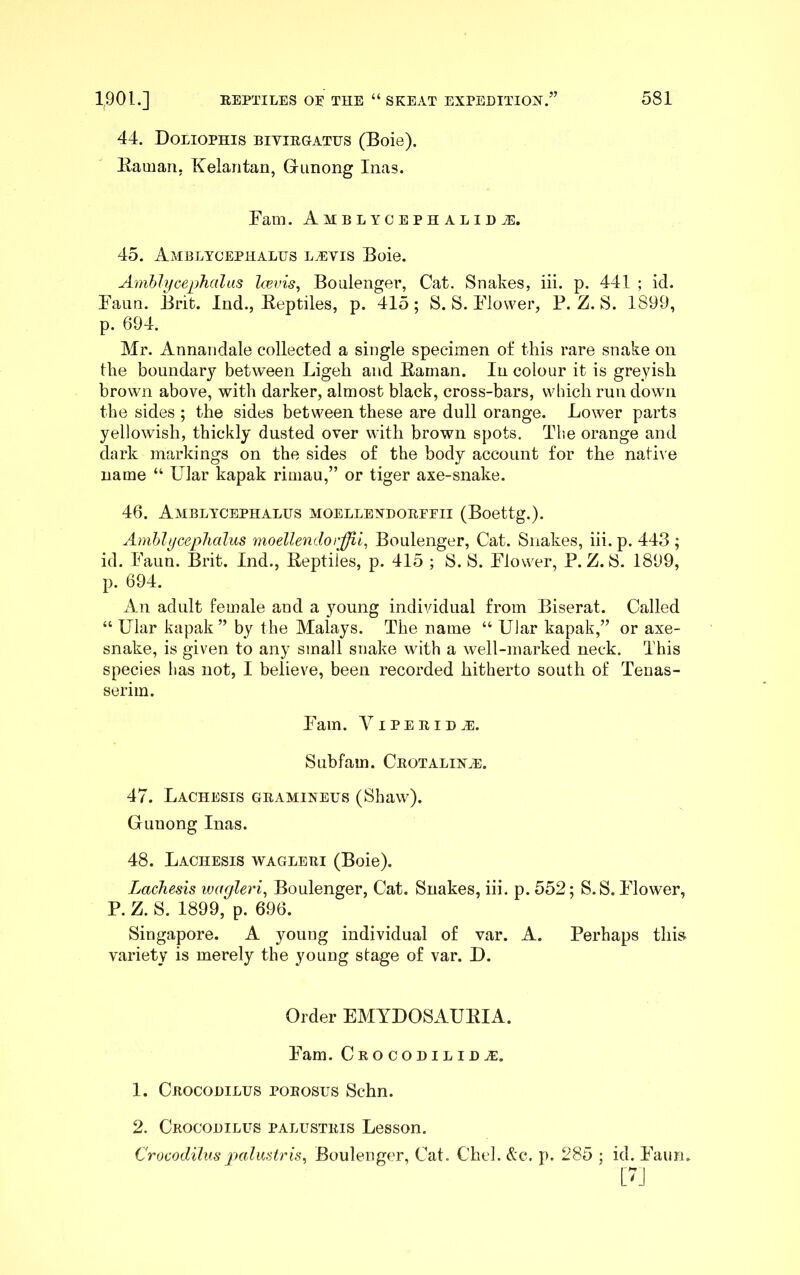44. Doliophis biyirgaths (Boie). llaman. Kelantan, Gimong Inas. Fam. AMBLYCEPHALIDiB. 45. Amblycephalus l^yis Boie. AmhlycepTialas Icevis, Boulenger, Cat. Snakes, iii. p. 441 ; id. Faun. Brit. Ind., Beptiles, p. 415; S. S. Flower, P. Z. S. 1899, p. 694. Mr. Annandale collected a single specimen of this rare snake on the boundary between Ligeh and Baman. In colour it is greyish brown above, with darker, almost black, cross-bars, which run down the sides ; the sides between these are dull orange. Lower parts yellowish, thickly dusted over with brown spots. The orange and dark markings on the sides of the body account for the native name “ Ular kapak rimau,” or tiger axe-snake. 46. Amblycephalus moelleydoreeii (Boettg.). Amblycephalus 7noellendorJJii, Boulenger, Cat. Snakes, iii. p. 443 ; id. Faun. Brit. Ind., Beptiles, p. 415 ; S. S. Flower, P. Z. S. 1899, p. 694. An adult female and a young individual from Biserat. Called “ Ular kapak” by the Malays. The name “ Ular kapak,” or axe- snake, is given to any small snake with a well-marked neck. This species has not, I believe, been recorded hitherto south of Teuas- serim. Fam. ViPERiD^. Subfam. Crotaliyh:. 47. Lachesis gramiyeus (Shaw). Gunong Inas. 48. Lachesis wagleri (Boie). Lachesis wagleri, Boulenger, Cat. Snakes, iii. p. 552; S.S. Flower, P. Z. S. 1899, p. 696. Singapore. A young individual of var. A. Perhaps this variety is merely the young stage of var. D. Order EMYDOSAUBIA. Fam. Crocodilib^. 1. Crocodilus poeosus Schn. 2. Crocodilus palustris Lesson. Crocodilus jKilustris, Boulenger, Cat. Chel. &c. p. 285 ; id. Faun. [7J