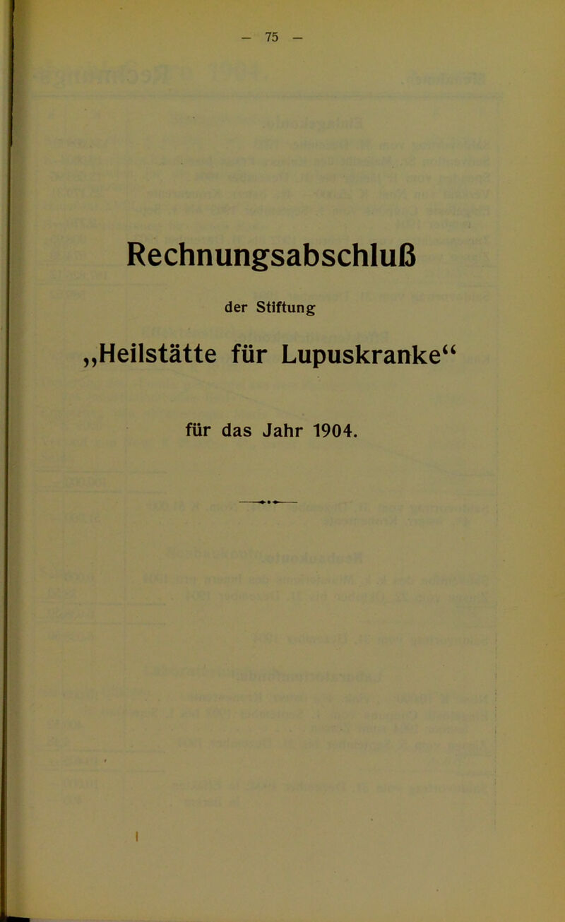 Rechnungsabschluß der Stiftung „Heilstätte für Lupuskranke“ für das Jahr 1904. I