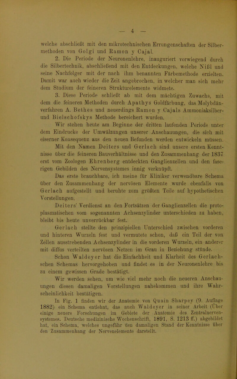 welche abschließt mit den mikrotechnischen Errungenschaften der Silber- methoden von Golgi und ßamon y Cajal. 2. Die Periode der Neuronenlehre, inauguriert vorwiegend durch die Silbertechnik, abschließend mit den Entdeckungen, welche Nißl und seine Nachfolger mit der nach ihm benannten Färbemethode erzielten. Damit war auch wieder die Zeit angebrochen, in welcher man sich mehr dem Studium der feineren Strukturelemente widmete. 3. Diese Periode schließt ab mit dem mächtigen Zuwachs, mit dem die feineren Methoden durch Apathys Goldfärbung, das Molybdän- verfahren A. Bethes und neuerdings ßamon y Cajals Ammoniaksilber- und Bielschofskys Methode bereichert wurden. Wir stehen heute am Beginne der dritten laufenden Periode unter dem Eindrücke der Umwälzungen unserer Anschauungen, die sich mit eiserner Konsequenz aus den neuen Befunden werden entwickeln müssen. Mit den Namen Deiters und Gerlach sind unsere ersten Kennt- nisse über die feineren Bauverhältnisse und den Zusammenhang der 1837 erst vom Zoologen Ehrenberg entdeckten Ganglienzellen und den fase- rigen Gebilden des Nervensystemes innig verknüpft. Das erste brauchbare, ich meine für Kliniker verwendbare Schema über den Zusammenhang der nervösen Elemente wurde ebenfalls von Gerlach aufgestellt und beruhte zum größten Teile auf hypothetischen Vorstellungen. Deiters' Verdienst an den Fortsätzen der Ganglienzellen die proto- plasmatischen vom sogenannten Achsenzylinder unterschieden zu haben, bleibt bis heute unverrückbar fest. Gerlach stellte den prinzipiellen Unterschied zwischen vorderen und hinteren Wurzeln fest und vermutete schon, daß ein Teil der von Zellen ausstrebenden Achsenzylinder in die vorderen Wurzeln, ein anderer mit diffus verteilten nervösen Netzen im Grau in Beziehung stünde. Schon Waldeyer hat dieEinfachhe.it und Klarheit des Gerlach- schen Schemas hervorgehoben und findet es in der Neuronenlehre bis zu einem gewissen Grade bestätigt. Wir werden sehen, um w’ie viel mehr noch die neueren Anschau- ungen diesen damaligen Vorstellungen nahekommen und ihre Wahr- scheinlichkeit bestätigen. In Fig. 1 finden wir der Anatomie von Quain Sharpey (9. Auflage 1882) ein Schema entlehnt, das auch Waldeyer in seiner Arbeit (Über einige neuere Forschungen im Gebiete der Anatomie des Zentralnerven- systemes. Deutsche medizinische Wochenschrift, 1891, S. 1213 ff.) abgebildet hat, ein Schema, welches ungefähr den damaligen Stand der Kenntnisse über den Zusammenhang der Nervenelemente darstellt.