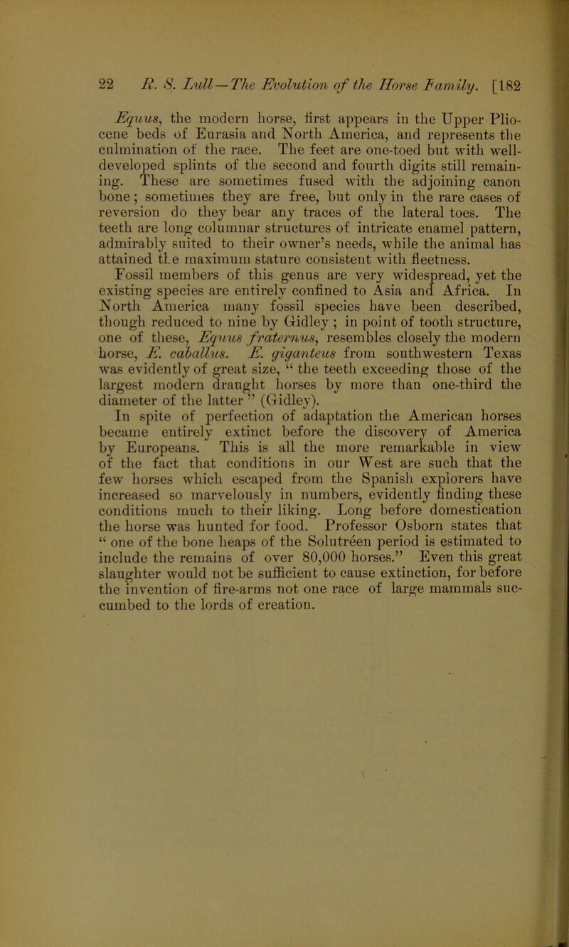 Equus, the modern horse, first appears in the Upper Plio- cene beds of Eurasia and North America, and represents the culmination of the race. The feet are one-toed but with well- developed splints of the second and fourth digits still remain- ing. These are sometimes fused with the adjoining canon hone; sometimes they are free, but only in the rare cases of reversion do they bear any traces of the lateral toes. The teeth are long columnar structures of intricate enamel pattern, admirably suited to their owner’s needs, while the animal has attained the maximum stature consistent with fieetness. Fossil members of this genus are very widespread, yet the existing species are entirely confined to Asia and Africa. In North America many fossil species have been described, though reduced to nine by Gidley ; in point of tooth structure, one of these, Equus fraternus, resembles closely the modern horse, E. cahallus. E. giganteus from southwestern Texas was evidently of great size, “ the teeth exceeding those of the largest modern draught horses by more than one-third the diameter of the latter ” (Gidley). In spite of perfection of adaptation the American horses became entirely extiuct before the discovery of America by Europeans. This is all the more remarkable in view of the fact that conditions in our West are such that the few horses which escaped from the Spanish explorers have increased so marvelously in numbers, evidently finding these conditions much to their liking. Long before domestication the horse was hunted for food. Professor Osborn states that “ one of the bone heaps of the Solutreen period is estimated to include the remains of over 80,000 horses.” Even this great slaughter would not be sufficient to cause extinction, for before the invention of fire-arms not one race of large mammals suc- cumbed to the lords of creation.