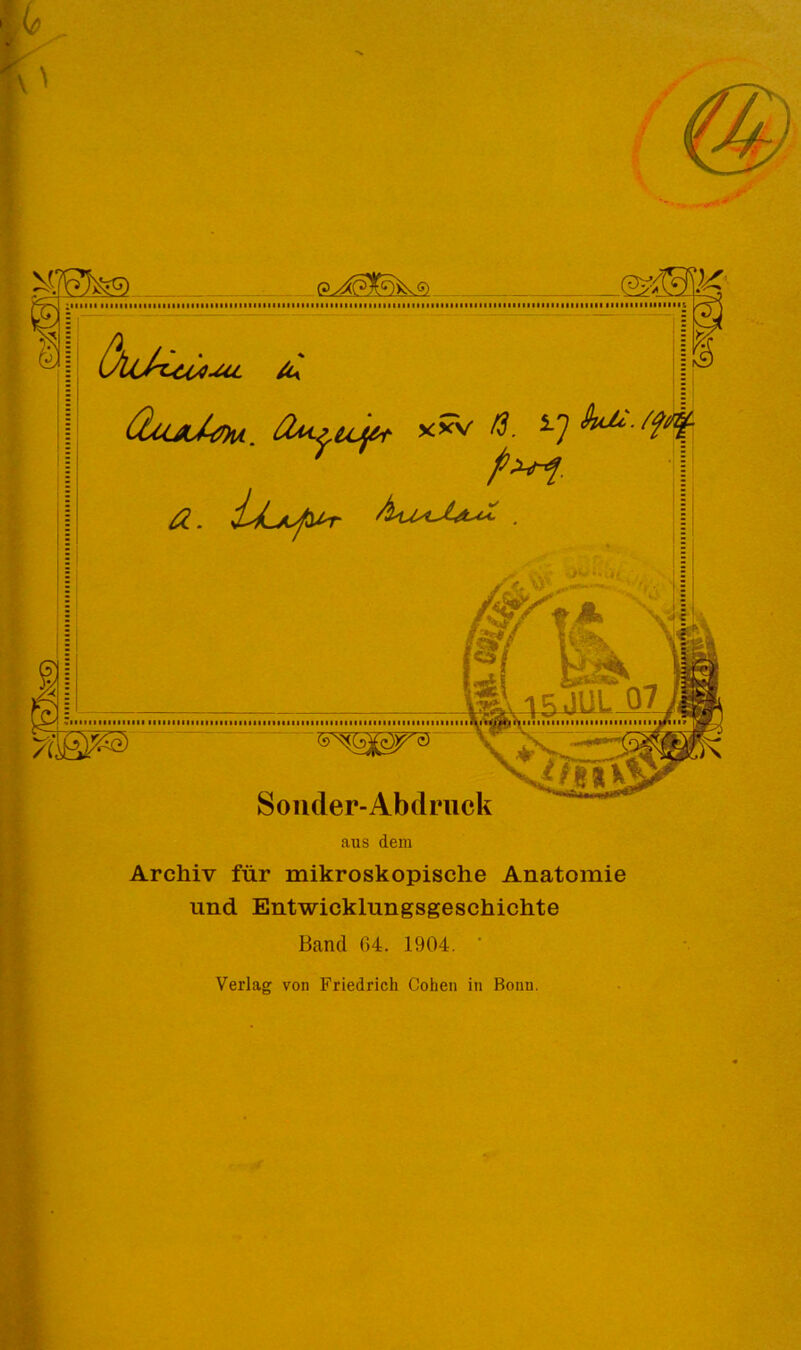aus dem Archiv für mikroskopische Anatomie und Entwicklungsgeschichte Band 64. 1904. ' Verlag von Friedrich Cohen in Bonn.