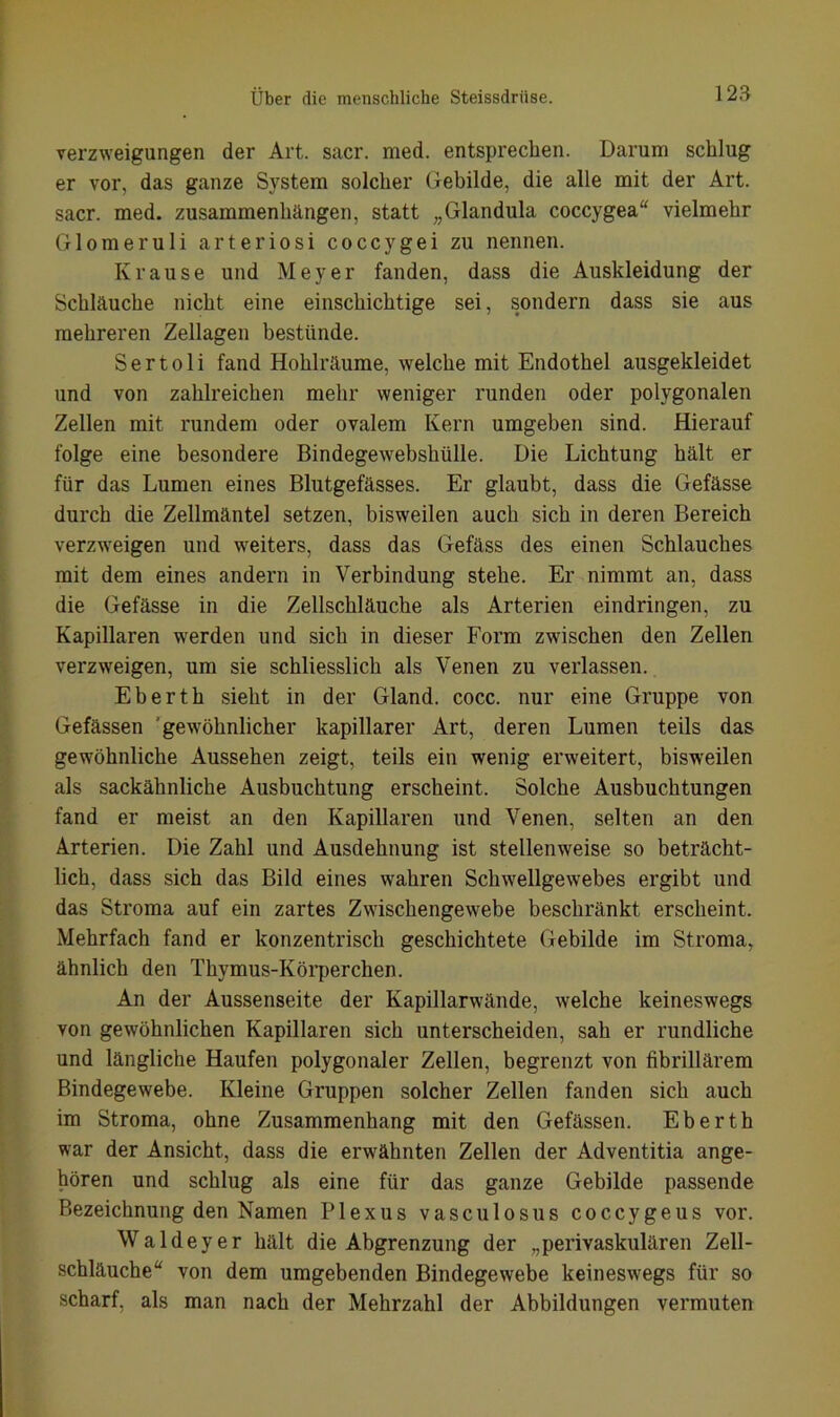 Verzweigungen der Art. sacr. med. entsprechen. Darum schlug er vor, das ganze System solcher Gebilde, die alle mit der Art. sacr. med. Zusammenhängen, statt „Glandula coccygea“ vielmehr Glomeruli arteriosi coccygei zu nennen. Krause und Meyer fanden, dass die Auskleidung der Schläuche nicht eine einschichtige sei, sondern dass sie aus mehreren Zellagen bestünde. Sertoli fand Hohlräume, welche mit Endothel ausgekleidet und von zahlreichen mehr weniger runden oder polygonalen Zellen mit rundem oder ovalem Kern umgeben sind. Hierauf folge eine besondere Bindegewebshülle. Die Lichtung hält er für das Lumen eines Blutgefässes. Er glaubt, dass die Gefässe durch die Zellmäntel setzen, bisweilen auch sich in deren Bereich verzweigen und weiters, dass das Gefäss des einen Schlauches mit dem eines andern in Verbindung stehe. Er nimmt an, dass die Gefässe in die Zellschläuche als Arterien eindringen, zu Kapillaren werden und sich in dieser Form zwischen den Zellen verzweigen, um sie schliesslich als Venen zu verlassen. Eberth sieht in der Gland. cocc. nur eine Gruppe von Gefässen 'gewöhnlicher kapillarer Art, deren Lumen teils das gewöhnliche Aussehen zeigt, teils ein wenig erweitert, bisweilen als sackähnliche Ausbuchtung erscheint. Solche Ausbuchtungen fand er meist an den Kapillaren und Venen, selten an den Arterien. Die Zahl und Ausdehnung ist stellenweise so beträcht- lich, dass sich das Bild eines wahren Schwellgewebes ergibt und das Stroma auf ein zartes Zwischengewebe beschränkt erscheint. Mehrfach fand er konzentrisch geschichtete Gebilde im Stroma, ähnlich den Thymus-Körperchen. An der Aussenseite der Kapillarwände, welche keineswegs von gewöhnlichen Kapillaren sich unterscheiden, sah er rundliche und längliche Haufen polygonaler Zellen, begrenzt von fibrillärem Bindegewebe. Kleine Gruppen solcher Zellen fanden sich auch im Stroma, ohne Zusammenhang mit den Gefässen. Eberth war der Ansicht, dass die erwähnten Zellen der Adventitia ange- hören und schlug als eine für das ganze Gebilde passende Bezeichnung den Namen Plexus vasculosus coccygeus vor. Waldeyer hält die Abgrenzung der „perivaskulären Zell- schläuche“ von dem umgebenden Bindegewebe keineswegs für so scharf, als man nach der Mehrzahl der Abbildungen vermuten