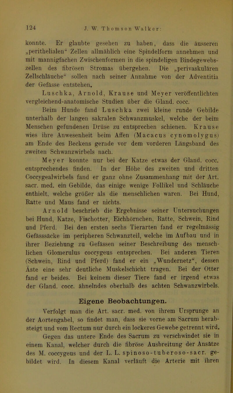 konnte. Er glaubte gesehen zu haben, dass die äusseren „perithelialen“ Zellen allmählich eine Spindelform annehmen und mit mannigfachen Zwischenformen in die spindeligen Bindegewebs- zellen des fibrösen Stromas übergehen. Die „perivaskulären Zellschläuche“ sollen nach seiner Annahme von der Adventitia der Gefässe entstehen. Luschka, Arnold, Krause und Meyer veröffentlichten vergleichend-anatomische Studien über die Gland. cocc. Beim Hunde fand Luschka zwei kleine runde Gebilde unterhalb der langen sakralen Schwanzmuskel, welche der beim Menschen gefundenen Drüse zu entsprechen schienen. Krause wies ihre Anwesenheit beim Affen (Macacus cynomolygus) am Ende des Beckens gerade vor dem vorderen Längsband des zweiten Schwanzwirbels nach. Meyer konnte nur bei der Katze etwas der Gland. cocc. entsprechendes finden. In der Höhe des zweiten und dritten Coccygealwirbels fand er ganz ohne Zusammenhang mit der Art. sacr. med. ein Gebilde, das einige wenige Follikel und Schläuche enthielt, welche größer als die menschlichen waren. Bei Hund, Ratte und Maus fand er nichts. Arnold beschrieb die Ergebnisse seiner Untersuchungen bei Hund, Katze, Fischotter, Eichhörnchen, Ratte, Schwein, Rind und Pferd. Bei den ersten sechs Tierarten fand er regelmässig Gefässsäcke im peripheren Schwanzteil, welche im Aufbau und in ihrer Beziehung zu Gefässen seiner Beschreibung des mensch- lichen Glomerulus coccygeus entsprechen. Bei anderen Tieren (Schwein, Rind und Pferd) fand er ein „Wundernetz“, dessen Äste eine sehr deutliche Muskelschicht tragen. Bei der Otter fand er beides. Bei keinem dieser Tiere fand er irgend etwas der Gland. cocc. ähnelndes oberhalb des achten Schwanzwirbels. Eigene Beobachtungen. Verfolgt man die Art. sacr. med. von ihrem Ursprünge an der Aortengabel, so findet man, dass sie vorne am Sacrum herab- steigt und vom Rectum nur durch ein lockeres Gewebe getrennt wird. Gegen das untere Ende des Sacrum zu verschwindet sie in einem Kanal, welcher durch die fibröse Ausbreitung der Ansätze des M. coccygeus und der L. L. spinoso-tuberoso-sacr. ge- bildet wird. In diesem Kanal verläuft die Arterie mit ihren