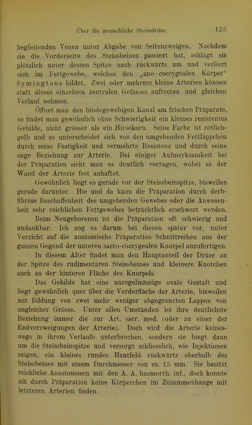 begleitenden Venen unter Abgabe von Seitenzweigen. Nachdem sie die Vorderseite des Steissbeines passiert hat, schlägt sie plötzlich unter dessen Spitze nach rückwärts um und verliert sich im Fettgewebe, welches den „ano = coccygealen Körper“ Svmingtons bildet. Zwei oder mehrere kleine Arterien können statt dieses einzelnen zentralen Gefässes auftreten und gleichen Verlauf nehmen. Öffnet man den bindegewebigen Kanal am frischen Präparate, so findet man gewöhnlich ohne Schwierigkeit ein kleines resistentes Gebilde, nicht grösser als ein Hirsekorn. Seine Farbe ist rötlich- gelb und es unterscheidet sich von den umgebenden Fettläppchen durch seine Festigkeit und vermehrte Resistenz und durch seine enge Beziehung zur Arterie. Bei einiger Aufmerksamkeit bei der Präparation sieht man es deutlich vorragen, wobei es der Wand der Arterie fest anhaftet. Gewöhnlich liegt es gerade vor der Steissbeinspitze, bisweilen gerade darunter. Hie und da kann die Präparation durch derb- fibröse Beschaffenheit des umgebenden Gewebes oder die Anwesen- heit sehr reichlichen Fettgewebes beträchtlich erschwert werden. Beim Neugeborenen ist die Präparation oft schwierig und undankbar. Ich zog es darum bei diesen später vor, unter Verzicht auf die anatomische Präparation Schnittreihen aus der ganzen Gegend der unteren sacro-coccygealen Knorpel anzufertigen. In diesem Alter findet man den Hauptanteil der Drüse an der Spitze des rudimentären Steissbeines und kleinere Knötchen auch an der hinteren Fläche des Knorpels. Das Gebilde hat eine unregelmässige ovale Gestalt und liegt gewöhnlich quer über die Vorderfiäche der Arterie, bisweilen mit Bildung von zwei mehr weniger abgegrenzten Lappen von ungleicher Grösse. Unter allen Umständen ist ihre deutlichste Beziehung immer die zur Art. sacr. med. (oder zu einer der Endverzweigungen der Arterie). Doch wird die Arterie keines- wegs in ihrem Verlaufe unterbrochen, sondern sie biegt dann um die Steissbeinspitze und versorgt schliesslich, wie Injektionen zeigen, ein kleines rundes Hautfeld rückwärts oberhalb des Steissbeines mit einem Durchmesser von ca. 15 mm. Sie besitzt reichliche Anastomosen mit den A. A. haemorrh. inf., doch konnte ich durch Präparation keine Körperchen im Zusammenhänge mit letzteren Arterien finden.