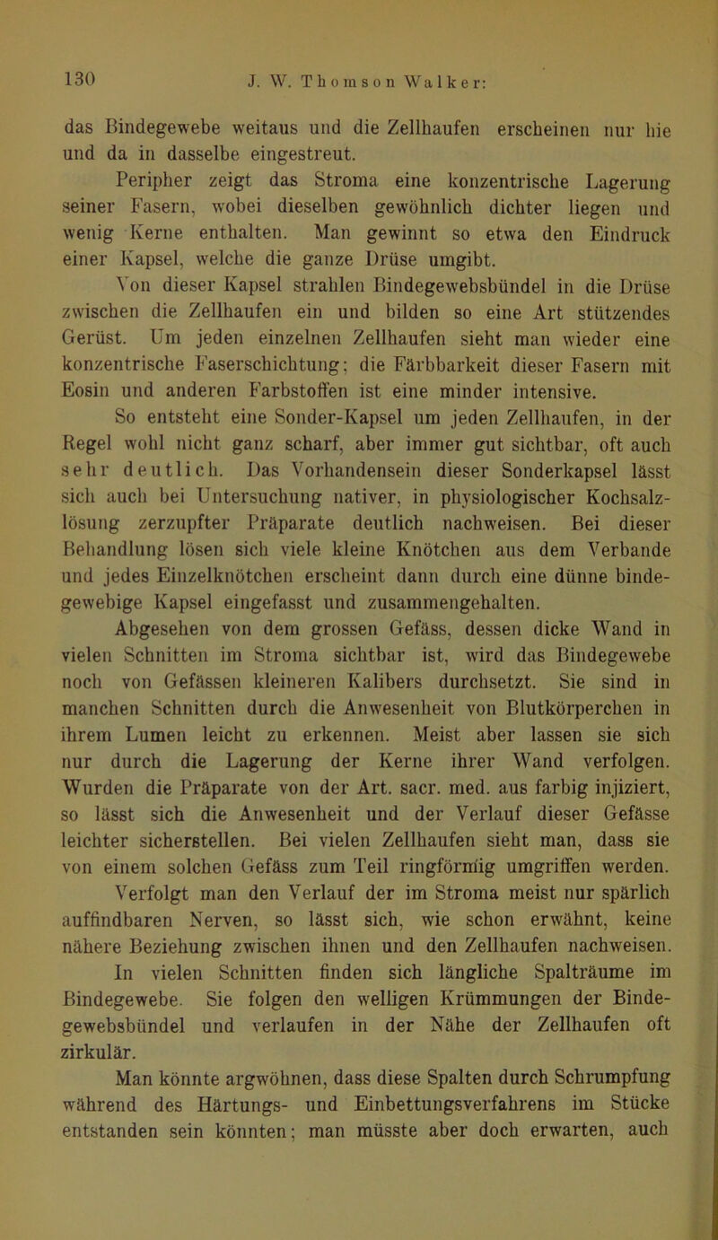 das Bindegewebe weitaus und die Zellhaufen erscheinen nur hie und da in dasselbe eingestreut. Peripher zeigt das Stroma eine konzentrische Lagerung seiner Fasern, wobei dieselben gewöhnlich dichter liegen und wenig Kerne enthalten. Man gewinnt so etwa den Eindruck einer Kapsel, welche die ganze Drüse umgibt. Von dieser Kapsel strahlen Bindegewebsbündel in die Drüse zwischen die Zellhaufen ein und bilden so eine Art stützendes Gerüst. Um jeden einzelnen Zellhaufen sieht man wieder eine konzentrische Faserschichtung; die Färbbarkeit dieser Fasern mit Eosin und anderen Farbstoffen ist eine minder intensive. So entsteht eine Sonder-Kapsel um jeden Zellhaufen, in der Regel wohl nicht ganz scharf, aber immer gut sichtbar, oft auch sehr deutlich. Das Vorhandensein dieser Sonderkapsel lässt sich auch bei Untersuchung nativer, in physiologischer Kochsalz- lösung zerzupfter Präparate deutlich nachweisen. Bei dieser Behandlung lösen sich viele kleine Knötchen aus dem Verbände und jedes Einzelknötchen erscheint dann durch eine dünne binde- gewebige Kapsel eingefasst und zusammengehalten. Abgesehen von dem grossen Gefäss, dessen dicke Wand in vielen Schnitten im Stroma sichtbar ist, wird das Bindegewebe noch von Gefässen kleineren Kalibers durchsetzt. Sie sind in manchen Schnitten durch die Anwesenheit von Blutkörperchen in ihrem Lumen leicht zu erkennen. Meist aber lassen sie sich nur durch die Lagerung der Kerne ihrer Wand verfolgen. Wurden die Präparate von der Art. sacr. med. aus farbig injiziert, so lässt sich die Anwesenheit und der Verlauf dieser Gefässe leichter sicherstellen. Bei vielen Zellhaufen sieht man, dass sie von einem solchen Gefäss zum Teil ringförmig umgriffen werden. Verfolgt man den Verlauf der im Stroma meist nur spärlich auffindbaren Nerven, so lässt sich, wie schon erwähnt, keine nähere Beziehung zwischen ihnen und den Zellhaufen nachweisen. In vielen Schnitten finden sich längliche Spalträume im Bindegewebe. Sie folgen den welligen Krümmungen der Binde- gewebsbündel und verlaufen in der Nähe der Zellhaufen oft zirkulär. Man könnte argwöhnen, dass diese Spalten durch Schrumpfung während des Ilärtungs- und Einbettungsverfahrens im Stücke entstanden sein könnten; man müsste aber doch erwarten, auch