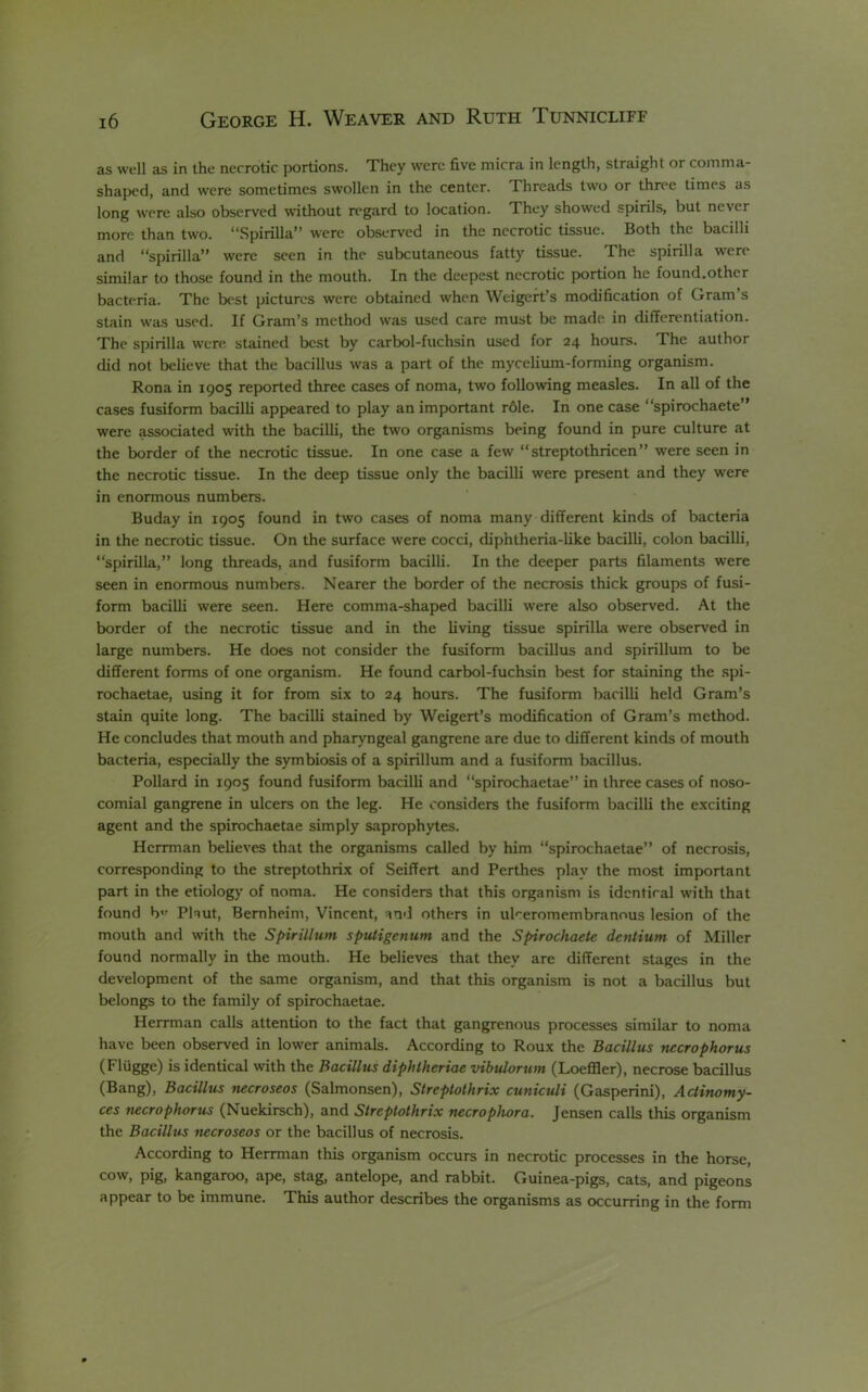 as well as in the necrotic portions. They were five micra in length, straight or comma- shaped, and were sometimes swollen in the center. Threads two or three times as long were also observed without regard to location. They showed spirils, but never more than two. “Spirilla” were observed in the necrotic tissue. Both the bacilli and “spirilla” were seen in the subcutaneous fatty tissue. The spirilla were similar to those found in the mouth. In the deepest necrotic portion he found.other bacteria. The best pictures were obtained when Weigert’s modification of Gram’s stain was used. If Gram’s method was used care must be made in differentiation. The spirilla were stained best by carbol-fuchsin used for 24 hours. The author did not believe that the bacillus was a part of the mycelium-forming organism. Rona in 1905 reported three cases of noma, two follo\ving measles. In all of the cases fusiform bacilli appeared to play an important rdle. In one case “spirochaete” were associated \vith the bacilli, the two organisms being found in pure culture at the border of the necrotic tissue. In one case a few “streptothricen” were seen in the necrotic tissue. In the deep tissue only the bacilli were present and they were in enormous numbers. Buday in 1905 found in two cases of noma many different kinds of bacteria in the necrotic tissue. On the surface were cocci, diphtheria-like bacilli, colon bacilli, “spirilla,” long threads, and fusiform bacilli. In the deeper parts filaments were seen in enormous numbers. Nearer the border of the necrosis thick groups of fusi- form bacilli were seen. Here comma-shaped bacilli were also observed. At the border of the necrotic tissue and in the living tissue spirilla were observed in large numbers. He does not consider the fusiform bacillus and spirillum to be different forms of one organism. He found carbol-fuchsin best for staining the spi- rochaetae, using it for from six to 24 hours. The fusiform bacilli held Gram’s stain quite long. The bacilli stained by Weigert’s modification of Gram’s method. He concludes that mouth and pharyngeal gangrene are due to different kinds of mouth bacteria, especially the symbiosis of a spirillum and a fusiform bacillus. Pollard in 1905 found fusiform bacilli and “spirochaetae” in three cases of noso- comial gangrene in ulcers on the leg. He considers the fusiform bacilli the exciting agent and the spirochaetae simply saprophytes. Herrman believes that the organisms called by him “spirochaetae” of necrosis, corresp>onding to the streptothrix of Seiffert and Perthes play the most important part in the etiology of noma. He considers that this organism is identical with that found b Phut, Bernheim, Vincent, and others in uheromembranous lesion of the mouth and with the Spirillum spuiigenum and the Spirochaete deniium of Miller found normally in the mouth. He believes that they are different stages in the development of the same organism, and that this organism is not a bacillus but belongs to the family of spirochaetae. Herrman calls attention to the fact that gangrenous processes similar to noma have been observed in lower animals. According to Roux the Bacillus nccrophorus (Fliigge) is identical with the Bacillus diphtheriae vibulorum (Loeflaer), necrose bacillus (Bang), Bacillus necroseos (Salmonsen), Streptothrix cuniculi (Gasperini), Actinomy- ces necrophorus (Nuekirsch), and Streptothrix necrophora. Jensen calls this organism the Bacillus necroseos or the bacillus of necrosis. According to Herrman this organism occurs in necrotic processes in the horse, cow, pig, kangaroo, ape, stag, antelope, and rabbit. Guinea-pigs, cats, and pigeons appear to be immune. This author describes the organisms as occurring in the form