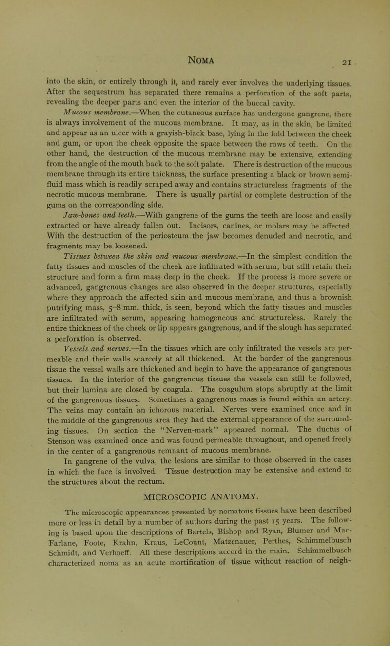 21 into the skin, or entirely through it, and rarely ever involves the underlying tissues. After the sequestrum has separated there remains a perforation of the soft parts, revealing the deeper parts and even the interior of the buccal cavity. Mucous membrane.—When the cutaneous surface has undergone gangrene, there is always involvement of the mucous membrane. It may, as in the skin, be limited and appear as an ulcer with a grayish-black base, lying in the fold between the cheek and gum, or upon the cheek opposite the space between the rows of teeth. On the other hand, the destruction of the mucous membrane may be extensive, extending from the angle of the mouth back to the soft palate. There is destruction of the mucous membrane through its entire thickness, the surface presenting a black or brown semi- fluid mass which is readily scraped away and contains structureless fragments of the necrotic mucous membrane. There is usually partial or complete destruction of the gums on the corresponding side. Jaw-bones and teeth.—With gangrene of the gums the teeth are loose and easily extracted or have already fallen out. Incisors, canines, or molars may be affected. With the destruction of the periosteum the jaw becomes denuded and necrotic, and fragments may be loosened. Tissues between the skin and mucous membrane.—In the simplest condition the fatty tissues and muscles of the cheek are infiltrated with serum, but still retain their structure and form a firm mass deep in the cheek. If the process is more severe or advanced, gangrenous changes are also observed in the deeper structures, especially where they approach the affected skin and mucous membrane, and thus a brownish putrifying mass, 5-8 mm. thick, is seen, beyond which the fatty tissues and muscles are infiltrated with serum, appearing homogeneous and structureless. Rarely the entire thickness of the cheek or lip appears gangrenous, and if the slough has separated a perforation is observed. Vessels and nerves.—In the tissues which are only infiltrated the vessels are per- meable and their walls scarcely at all thickened. At the border of the gangrenous tissue the vessel walls are thickened and begin to have the appearance of gangrenous tissues. In the interior of the gangrenous tissues the vessels can still be followed, but their lumina are closed by coagula. The coagulum stops abruptly at the limit of the gangrenous tissues. Sometimes a gangrenous mass is found within an artery. The veins may contain an ichorous material. Nerves were examined once and in the middle of the gangrenous area they had the external appearance of the surround- ing tissues. On section the “Nerven-mark” appeared normal. The ductus of Stenson was examined once and was found permeable throughout, and opened freely in the center of a gangrenous remnant of mucous membrane. In gangrene of the vulva, the lesions are similar to those observed in the cases in which the face is involved. Tissue destruction may be extensive and extend to the structures about the rectum. MICROSCOPIC ANATOMY. The microscopic appearances presented by nomatous tissues have been described more or less in detail by a number of authors during the past 15 years. The follow- ing is based upon the descriptions of Bartels, Bishop and Ryan, Blumer and Mac- Farlane, Foote, Krahn, Kraus, LeCount, Matzenauer, Perthes, Schimmelbusch Schmidt, and Verhoeff. All these descriptions accord in the main. Schimmelbusch characterized noma as an acute mortification of tissue without reaction of neigh-
