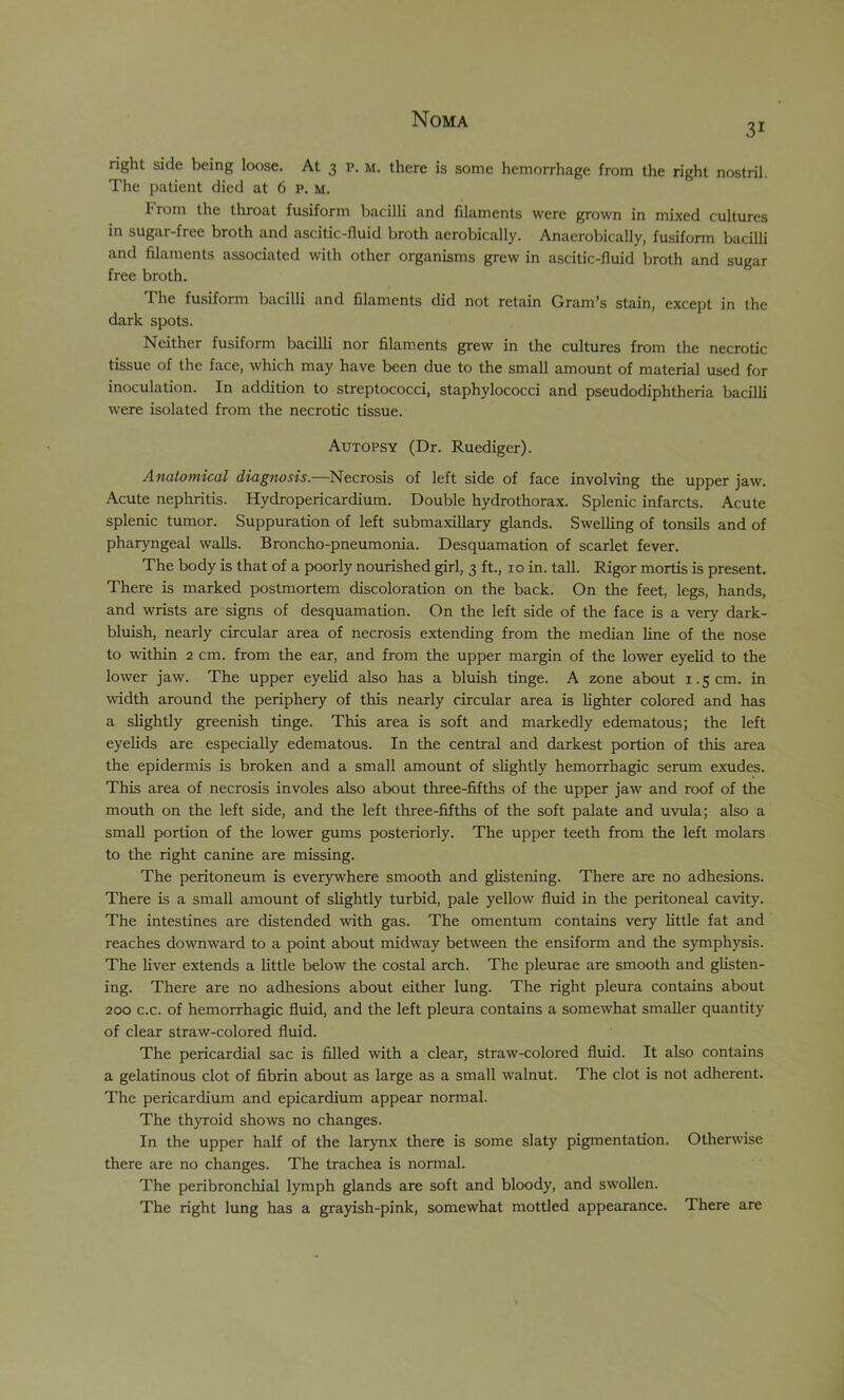 31 right side being loose. At 3 p. m. there is some hemorrhage from the right nostril. The patient died at 6 p. m. From the throat fusiform bacilli and filaments were grown in mixed cultures in sugar-free broth and ascitic-fluid broth aerobically. Anaerobically, fusiform bacilli and filaments associated with other organisms grew in ascitic-fluid broth and sugar free broth. The fasiform bacilli and filaments did not retain Gram’s stain, except in the dark spots. Neither fusiform bacilli nor filam.ents grew in the cultures from the necrotic tissue of the face, which may have been due to the small amount of material used for inoculation. In addition to streptococci, staphylococci and pseudodiphtheria bacilli were isolated from the necrotic tissue. Autopsy (Dr. Ruediger). Anatomical diagnosis.—Necrosis of left side of face involving the upper jaw. Acute nephritis. Hydropericardium. Double hydrothorax. Splenic infarcts. Acute splenic tumor. Suppuration of left submaxillary glands. Swelling of tonsils and of pharyngeal walls. Broncho-pneumonia. Desquamation of scarlet fever. The body is that of a poorly nourished girl, 3 ft., 10 in. tall. Rigor mortis is present. There is marked postmortem discoloration on the back. On the feet, legs, hands, and wrists are signs of desquamation. On the left side of the face is a very dark- bluish, nearly circular area of necrosis extending from the median line of the nose to within 2 cm. from the ear, and from the upper margin of the lower eyelid to the lower jaw. The upper eyelid also has a bluish tinge. A zone about 1.5 cm. in width around the periphery of this nearly circular area is lighter colored and has a slightly greenish tinge. This area is soft and markedly edematous; the left eyelids are especially edematous. In the central and darkest portion of this area the epidermis is broken and a small amoimt of slightly hemorrhagic serum exudes. This area of necrosis involes also about three-fifths of the upper jaw and roof of the mouth on the left side, and the left three-fifths of the soft palate and uvula; also a small portion of the lower gums posteriorly. The upper teeth from the left molars to the right canine are missing. The peritoneum is everywhere smooth and glistening. There are no adhesions. There is a small amount of slightly turbid, pale yellow fluid in the peritoneal cavity. The intestines are distended with gas. The omentum contains very little fat and reaches downward to a point about midway between the ensiform and the symphysis. The liver extends a little below the costal arch. The pleurae are smooth and glisten- ing. There are no adhesions about either lung. The right pleura contains about 200 c.c. of hemorrhagic fluid, and the left pleura contains a somewhat smaller quantity of clear straw-colored fluid. The pericardial sac is filled with a clear, straw-colored fluid. It also contains a gelatinous clot of fibrin about as large as a small walnut. The clot is not adherent. The pericardium and epicardium appear normal. The thyroid shows no changes. In the upper half of the larynx there is some slaty pigmentation. Otlierwise there are no changes. The trachea is normal. The peribronchial lymph glands are soft and bloody, and swollen. The right lung has a grayish-pink, somewhat mottled appearance. There are