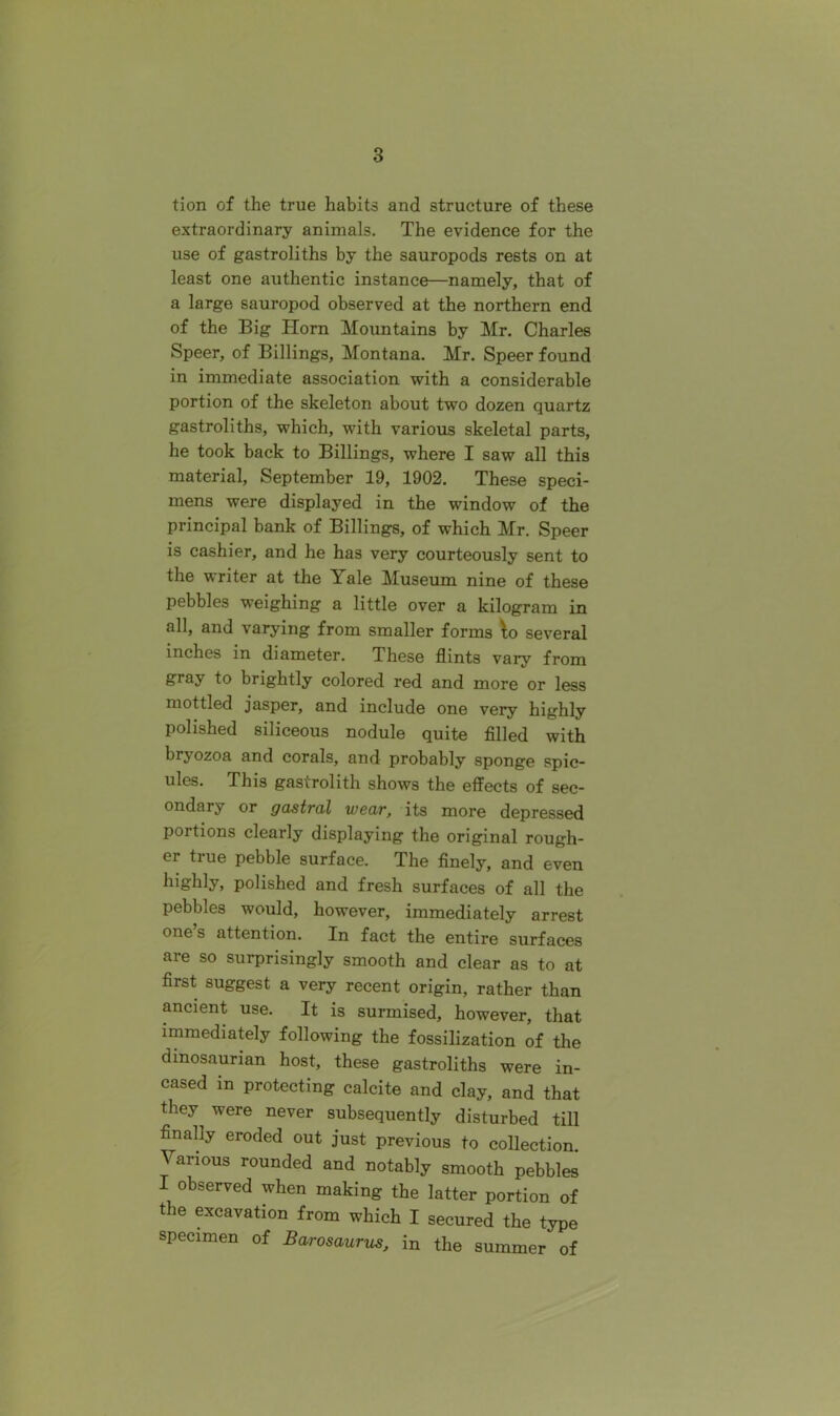 tion of the true habits and structure of these extraordinary animals. The evidence for the use of gastroliths by the sauropods rests on at least one authentic instance—namely, that of a large sauropod observed at the northern end of the Big Horn Mountains by Mr. Charles Speer, of Billings, Montana. Mr. Speer found in immediate association with a considerable portion of the skeleton about two dozen quartz gastroliths, which, with various skeletal parts, he took back to Billings, where I saw all this material, September 19, 1902. These speci- mens were displayed in the window of the principal bank of Billings, of which Mr. Speer is cashier, and he has very courteously sent to the writer at the Yale Museum nine of these pebbles weighing a little over a kilogram in all, and varying from smaller forms ^o several inches in diameter. These flints vary from gray to brightly colored red and more or less mottled jasper, and include one very highly polished siliceous nodule quite filled with bryozoa and corals, and probably sponge spic- ules. This gastrolith shows the effects of sec- ondary or gasiral wear, its more depressed portions clearly displaying the original rough- er true pebble surface. The finely, and even highly, polished and fresh surfaces of all the pebbles would, however, immediately arrest one s attention. In fact the entire surfaces are so surprisingly smooth and clear as to at first suggest a very recent origin, rather than ancient use. It is surmised, however, that immediately following the fossilization of the dinosaurian host, these gastroliths were in- cased in protecting calcite and clay, and that they^ were never subsequently disturbed till finally eroded out just previous to collection. Various rounded and notably smooth pebbles I observed when making the latter portion of the excavation from which I secured the type specimen of Barosaurus, in the summer of