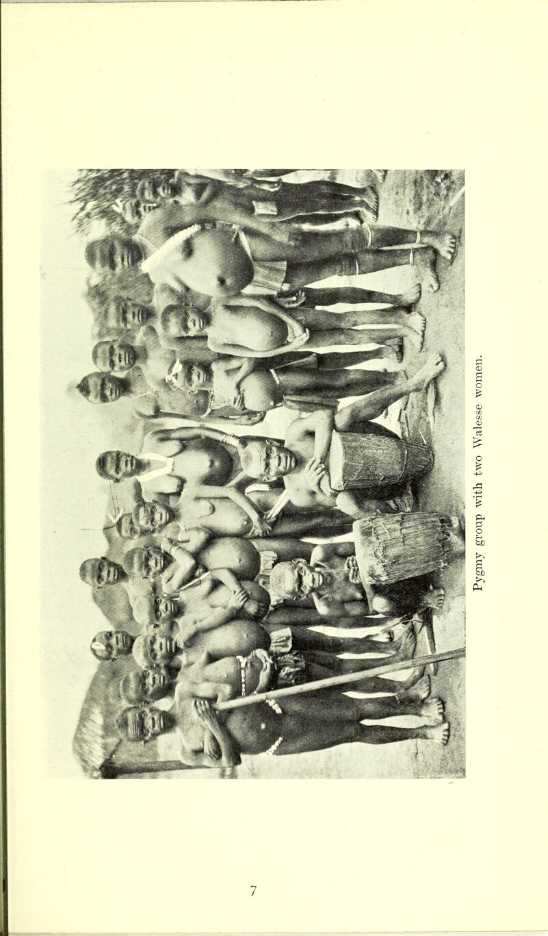 Pygmy group with two Walesse women.