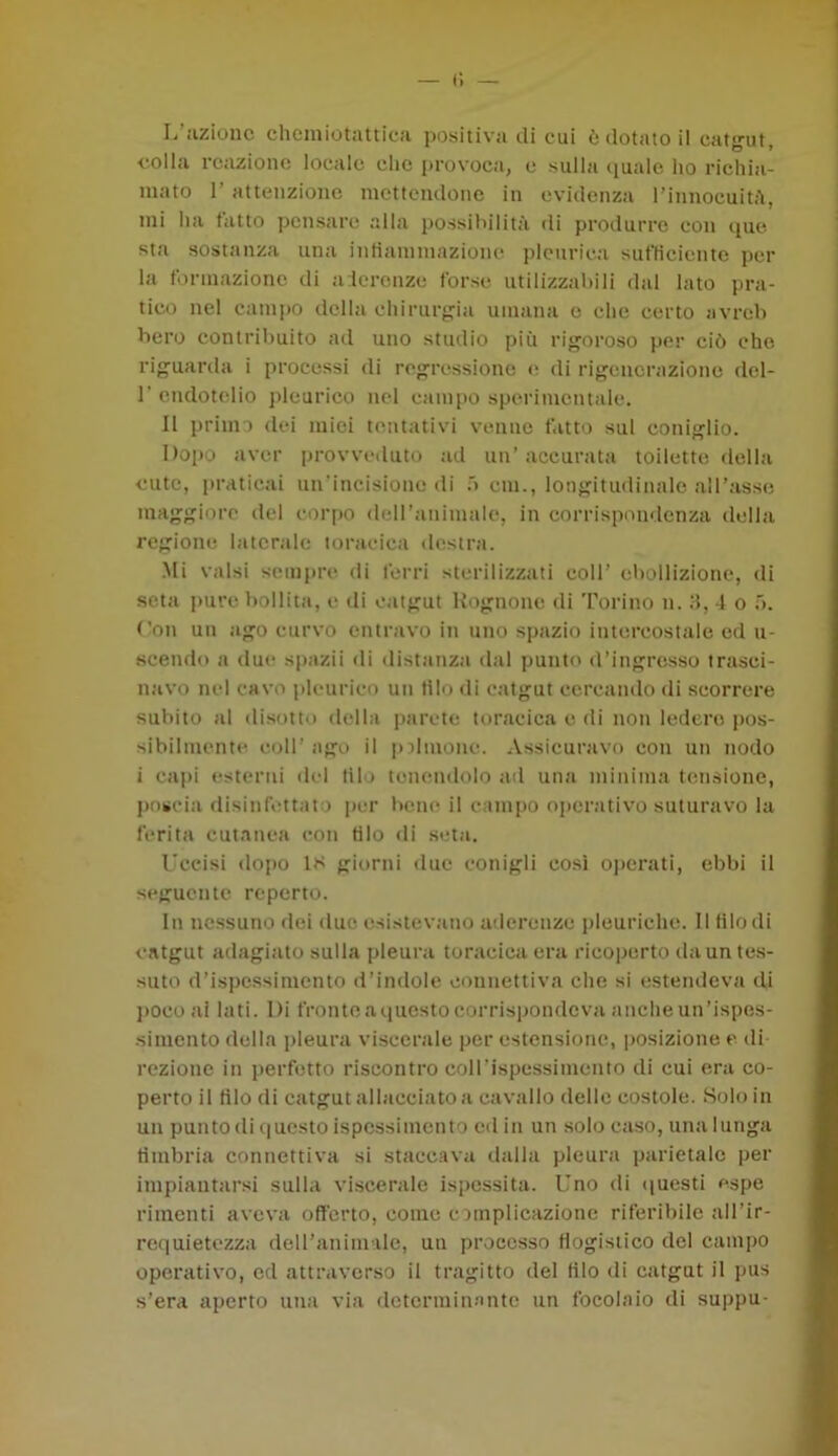 •colla reazione locale che provoca, e sulla quale ho richia- mato 1' attenzione mettendone in evidenza l'innocuità, mi ha tatto pensare alla possibilità di produrre con que sta sostanza una infiammazione pleurica sufficiente per la formazione di aderenze forse utilizzabili dal lato pra- tico nel campo della chirurgia umana e che certo nvreb bero contribuito ad uno studio più rigoroso per ciò che riguarda i processi di regressione e di rigenerazione del- 1’ endotelio pleurico nel campo sperimentale. Il primo dei mici tentativi venne fatto sul coniglio. Dopo aver provveduto ad un’ accurata toilette della cute, praticai un'incisione di 5 ctu., longitudinale all’asse maggiore del corpo dell’animale, in corrispondenza della regione laterale toracica destra. Mi valsi sempre di ferri sterilizzati coll’ ebollizione, di seta pure bollita, e di catgut Rognone di Torino u. 3, 4 o ó. Con un ago curvo entravo in uno spazio intercostale ed u- scendo a due spazii ili distanza dal punto d’ingresso trasci- navo nel cavo pleurico un filo di catgut cercando di scorrere subito al disotto della parete toracica e di non ledere pos- sibilmente coll’ago il pMilione. Assicuravo con un nodo i capi esterni del filo tenendolo ad una minima tensione, poscia disinfettato pur bene il campo operativo suturavo la ferita cutanea con filo di seta. Uccisi dopo 1S giorni due conigli così operati, ebbi il seguente reperto. In nessuno dei due esistevano aderenze pleuriche. Il filo di catgut adagiato sulla pleura toracica era ricoperto da un tes- suto d’ispessimento d’indole connettiva che si estendeva di poco ai lati. Di fronte a questo corrispondeva anche un’ispes- simento della pleura viscerale per estensione, posizione e di- rezione in perfetto riscontro coll’ispessimento di cui era co- perto il filo di catgut allacciato a cavallo delle costole. Solo in un puntodi questo ispessimento ed in un solo caso, una lunga fimbria connettiva si staccava dalla pleura parietale per impiantarsi sulla viscerale ispessita. Uno di questi espe rimenti aveva offerto, come complicazione riferibile all’ir- requietezza dell’animale, un processo flogistico del campo operativo, ed attraverso il tragitto del filo di catgut il pus s’era aperto una via determinante un focolaio di suppu-