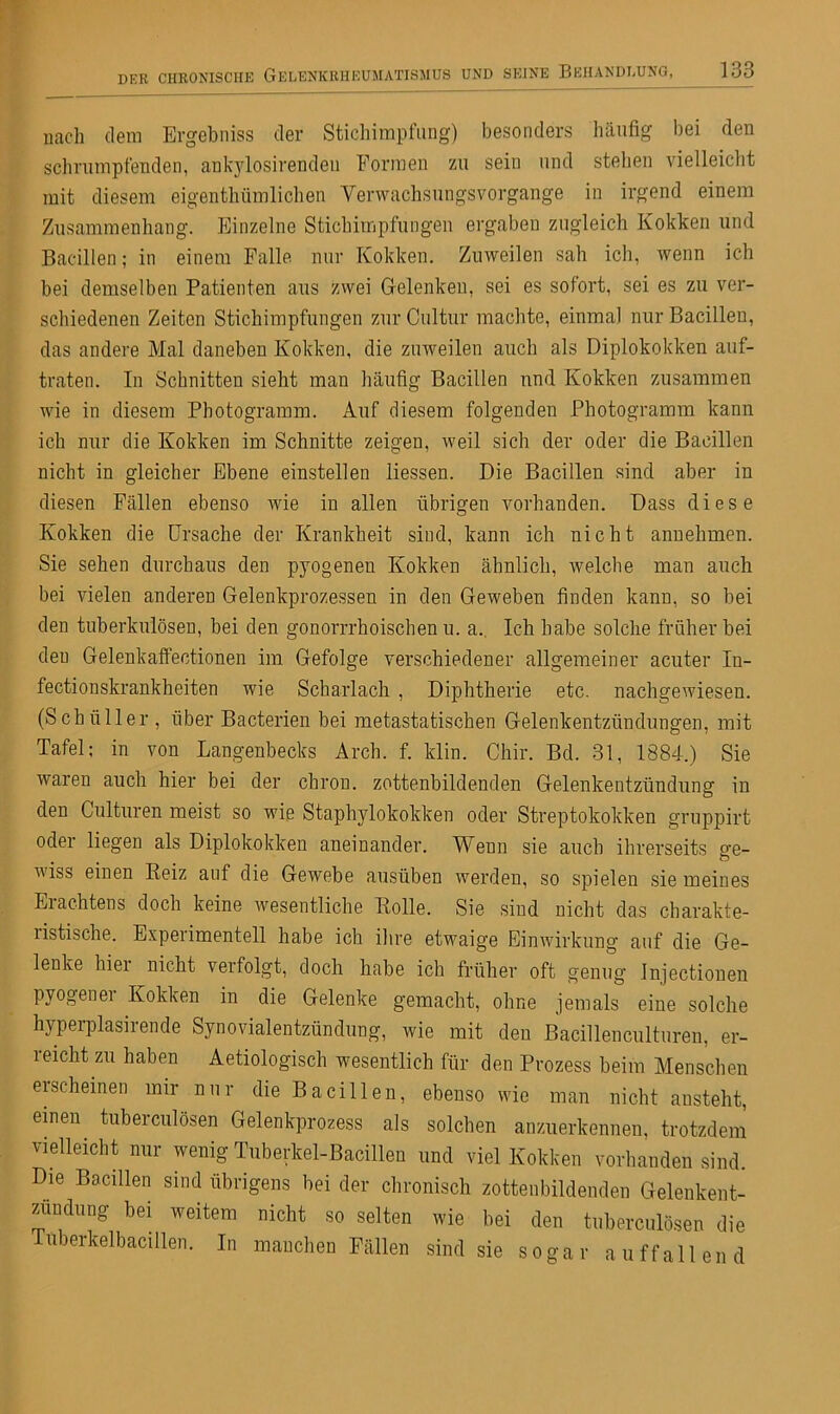 nach dem Ergebniss der Stichimpfling) besonders häufig bei den schrumpfenden, ankylosirenden Formen zu sein und stellen vielleicht mit diesem eigenthümlichen Yerwachsungsvorgange in irgend einem Zusammenhang. Einzelne Stichimpfungen ergaben zugleich Kokken und Bacillen; in einem Falle nur Kokken. Zuweilen sah ich, wenn ich bei demselben Patienten aus zwei Gelenken, sei es sofort, sei es zu ver- schiedenen Zeiten Stichimpfungen zur Cultur machte, einmal nur Bacillen, das andere Mal daneben Kokken, die zuweilen auch als Diplokokken auf- traten. In Schnitten sieht man häufig Bacillen und Kokken zusammen wie in diesem Photogramm. Auf diesem folgenden Photogramm kann ich nur die Kokken im Schnitte zeigen, weil sich der oder die Bacillen nicht in gleicher Ebene einstellen Hessen. Die Bacillen sind aber in diesen Fällen ebenso wie in allen übrigen vorhanden. Dass diese Kokken die Ursache der Krankheit sind, kann ich nicht annehmen. Sie sehen durchaus den pyogenen Kokken ähnlich, welche man auch bei vielen anderen Gelenkprozessen in den Geweben finden kann, so bei den tuberkulösen, bei den gonorrrhoischen u. a. Ich habe solche früher bei den Gelenkaffeetionen im Gefolge verschiedener allgemeiner acuter In- fectionskrankheiten wie Scharlach , Diphtherie etc. nachgewiesen. (Schüller, über Bacterien bei metastatischen Gelenkentzündungen, mit Tafel; in von Langenbecks Arch. f. klin. Chir. Bd. 31, 1884.) Sie waren auch hier bei der chrou. zottenbildenden Gelenkentzündung in den Culturen meist so wie Staphylokokken oder Streptokokken gruppirt oder liegen als Diplokokken aneinander. Weun sie auch ihrerseits ge- wiss einen Reiz auf die Gewebe ausüben werden, so spielen sie meines Erachtens doch keine wesentliche Rolle. Sie sind nicht das charakte- listische. Experimentell habe ich ihre etwaige Einwirkung auf die Ge- lenke hier nicht verfolgt, doch habe ich früher oft genug Injectionen pyogenei Kokken in die Gelenke gemacht, ohne jemals eine solche hyperplasirende Synovialentzündung, wie mit den Bacillenculturen, er- reicht zu haben Aetiologisch wesentlich für den Prozess beim Menschen erscheinen mir nur die Bacillen, ebenso wie man nicht ansteht, einen tuberculösen Gelenkprozess als solchen anzuerkennen, trotzdem vielleicht nur wenig Tuberkel-Bacillen und viel Kokken vorhanden sind. Die Bacillen sind übrigens bei der chronisch zottenbildenden Gelenkent- zündung bei weitem nicht so selten wie bei den tuberculösen die Tuberkelbacillen. In manchen Fällen sind sie sogar auffallend