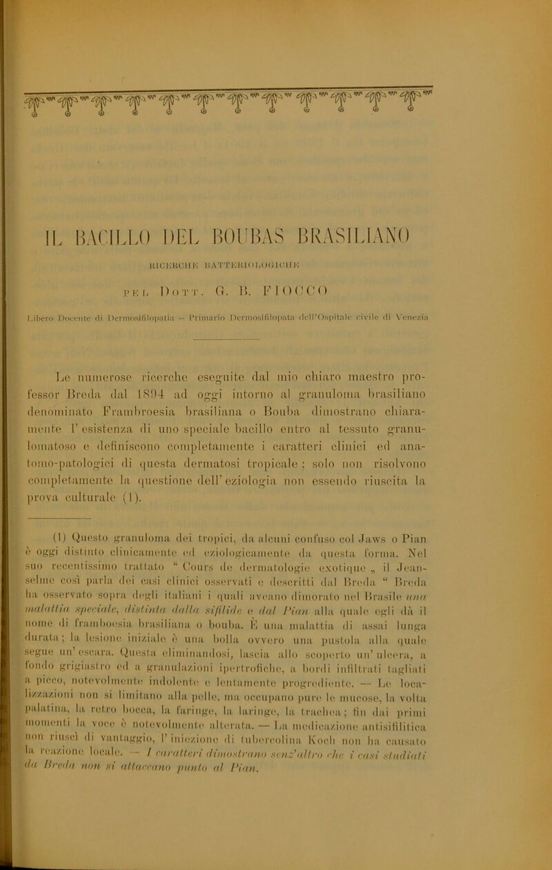 lUC 1-: KGl 1 l'I li A TT KKl U l,t )( 1U : 11 l'i ]> K li Do'J'T. (t. 1). FIO f ! C ( ) l.ibern Docente eli Dennosifilniiatia - l’rimaiin 1 lermosifilopata ileU’Ospitale rivile eli \'eiiezia Ijo imiiioroso ricorche eseguite dal mio chiaro maestro pro- fessor Hrcda dal IS!)4 ad oggi intorno al grannloma brasiliano denominato Frambroesia brasiliana o Bonba dimostrano cbiara- mente 1’ esistenza di uno speciale bacillo entro al tessuto granu- lomatoso e definiscono completamente i caratteri clinici ed ana- tomo-patologici di questa dermatosi tropicale ; solo non risolvono completamente la (piestione dell'eziologia non essendo riuscita la ])rova culturale (1). (1) Questo gramiioina dei tropici, da alcuni confuso col Jaws o Pian è oggi distinto clinicaineute od c/.iologicaniente d;i. (|iiosta l'orina. Nel suo rcccntissinio trattato “ Cours de ilerinatologie exoli()ne „ il Jean- selnic così [laria dei casi clinici osserva,ti e descritti dal Preda, “ i>r(;da ha osservato sopra degli italiani i (inali avea.no dinioralo nel Brasile una maialila apertale, dislmla dalla fiifilide e dal IHaii alla (inalo egli dà il iioine di Iraniboesia brasiliana o bonba. F una malattia di assai lunga durata; la lesione iniziale (■ una bolla ovvero una luistola, alla, (juale segue un escara. (Onesta eliniinandosi, lascia a,llo scop(U'to un’ ulc(*ra, a tondo grigiastro ed a granulazioni iiHM'troliclie, a. bordi infiltrati tagliati a picco, notevobnente indolent(! e lentaniente iirogianhhmte. — Le loca- lizzazioni non si limitano alla p(dle, ma occupano pure le mucose, la volta palatina, la retro bocca, la, faringe, la laring(>, la traclnia; fin dai primi monumti la voce h notevolment.e alterata. — La mediciizioiu! a.ntisitililica, non rius(n di vantaggio, I’ inieziom; di Inlnn'colina Kocli non ha causalo la reazione locale. — / raralterì dimoslraiw scnz’aliru rhc i niKi stadiali ila Brada aon si. allaaaano palilo al Bian.