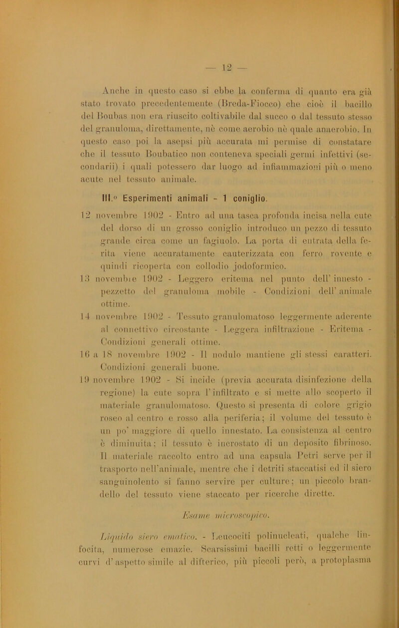 Anche in (jucsto caso si cljhe la conl'ci’iiia di <|uanto era f>'ià stato trovato precedentemente (iJreda-hhocco) che cioè il bacillo del llouhas non era riuscito coltivabile dal succo o dal tessuto stesso del f>'raiiuloiua, direttamente, nè come aerohio uè (juale anaerobio. In questo caso poi la asepsi più accurata mi permise ili constatare che il tessuto llouhatico non conteneva speciali g-ermi infettivi (se- condarii) i quali potessero dar luogo ad inliammazioi'.i più o meno acute nel tessuto animale. Ill.o Esperimenti animali - 1 coniglio. 12 novembre 1!)02 - Entro ad una tasca profonda incisa nella cute del dorso di uu grosso coniglio introduco un pezzo di te.ssuto grande circa come un fagiuolo. La porta di entrata della fe- rita viene accuratamente cauterizzata con ferro rovente e ipiindi ricoperta con collodio jodoformico. Id novendiie 1902 - Ijeggero eritema nel punto dell’innesto - ])ezzetto del granuloma mobile - Condizioni dell’animale ottime. 14 novembre 1902 - 'Pessuto graiiulomatoso leggermente aderente al connettivo circostante - Leggera infiltrazione - Eritema - (!ondizioiM generali ottime. 1 (! a 18 novembre 1902 - Il nodulo mantiene gli stessi caratteri. Conilizioni generali buone. 19 novembre 1902 - Si incide (previa accurata disinfezione della regione) la cute sopra l’infiltrato e si mette allo scoperto il materiale graiiulomatoso. (iuesto si presenta di colore grigio roseo al centro e rosso alla periferia; il volume did tessuto è un i>o’ niaggioi’e di (|uello innestato. La consistenza al centro è diminuita; il tessuto è incrostato di un deposito fibrinoso. Il materiale raccolto entro ad una capsula Eetri serve per il trasporto nell’animale, mentre che i detriti staccatisi ed il siero sanguinolento si fanno servire per culture; un iiiccolo bran- dello del tessuto viene staccato jier ricerche dirette. A'.si/ m e 11/i cr</sco pi cu. IjÌ(1/iJ<ìo siei'o e/ìK/Ucu. - Leucociti polinucleati, (pialcbe lin- focita, numerose emazie. Scarsissimi bacilli retti o leggermente curvi d’aspetto simile al difterico, più piccoli però, a protoplasma