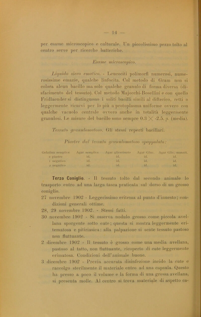 per esame m io roseo pioo e oultiirale. Un piceolissimo pezzo tolto al contro serve per ricerche batteriche. bJsd ni e mi cr (Diro pi co. Li<iHÌ(1o hìcvo nmifiro. - Leucociti ])oliinorfi iniinerosi, nume- rosissime emazie, qualche linfocita. Col metodo di Crani non si colora alcun bacillo ma solo (pialche ”-ranulo di formadiversa (di- sfacimento del tessuto). Col metodo .Majocchi-Bosellini e con quello Kridlaender si disting-nono i soliti bacilli simili al difterico, retti o leo-g-ermente ricurvi per lo più a protoplasma uniforme ovvero con qualche vacuolo centrale ovvero anche in totalità leg-g-ermente granulosi. Le misure del bacillo sono sempre 0.8 X -2.5. p. (media). 'J'ensiito (frdinflaimifotm. (Ili stessi reperti bacillari. ridslrc (Idi <ir(fiiiilain<(ldt<(i sp((ppu!((lo : (Jelaliiia sein]iliiu -\gar seinjiliee ■\gar glieerinalo .\g!ir (iliie. Agar t; ilic. niaiinit. 2 piastre id. id. id. id. i negativo id. id. id. id. 2 negativo id. id. id. id. Terzo Coniglio. - Il tessuto tolto dal secondo animale lo trasporto entro ad una larga tasca praticata sul dorso di un grosso coniglio. 27 novembre 1902 - Jjeggerissimo eritema al punto d’innesto; con- dizioni generali ottime. 28, 29 novembre 1902. - Stessi fatti. 30 novembre 1902 - Si osserva nodulo grosso come piccola avel- lana sporgente sotto cute ; questa si mostra leggermente eri- tematosa e pitiriasica: alla palpazione si sente tessuto pastoso non fluttuante. 2 dicembre 1902 - Il tessuto è grosso come una media avellana, pastoso al tatto, non tlattuante, ricoperto di cute leggermente erimatosa. Condizioni dell’animale buone. 3 dicembre 1902 - Previa accurata disinfezione incido la cute e racc-olgo sterilmente il materiale entro ad una capsula. (Questo ha presso a poco il volunie e la forma di una grossa avellana, si presenta molle. Al centro si trova materiale di aspetto ca-