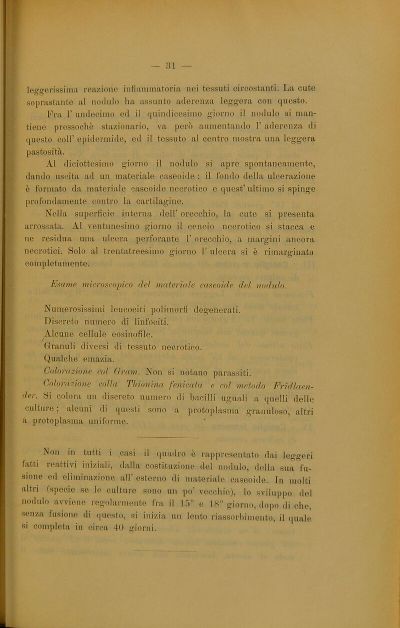 Fra r nndecinio ed il (|nindioesiino giorno il nodulo si nian- tiene pressoché stazionario, va però annientando 1’ aderenza di ipiesto coir epidermide, ed il tessuto al centro mostra una leggera pastosità. /VI diciottesimo giorno il nodulo si apro spontaneamente, dando uscita ad un materiale caseoide : il fondo della ulcerazione è formato da materiale caseoide necrotico e quest’ultimo si spinge profondamente contro la cartilagine. Nella superficie interna dell’ orecchio, la cute si presenta arrossata. Al ventunesimo giorno il cencio necrotico si stacca e ne residua una ulcera perforante 1’ orecchio, a margini ancora necrotici. Solo al trentatreesimo giorno 1’ ulcera si è rimarginata completamente. Ksame vile roseopica del viaferiale caseoide del nodulo. Numerosissimi leucociti polimorfi degenerati. Discreto numero di linfociti. Alcune cellule eosinofile. (Iranuli diversi di tessuto necrotico. (gualche emazia. Colorazione co! Granì. Non si notano parassiti. Colorazione colla. Thionina fenicata e co! inelodo Fridlaen- der. Si colora un discreto numero di bacilli uguali a quelli delle culture ; alcuni di questi sono a protoplasma granuloso, altri a protoplasma uniforme. Non in tutti i casi il ijuadro ò rappresentato dai leggeri fatti reattivi iniziali, dalla costituzione del nodulo, della sua fu- sione ed eliminazione all’esterno di materiale caseoide. In molti altri (specie so le culture sono un po' vecchie), lo sviluppo del nodulo avviene regolarmente fra il 1 ó e 1S giorno, do|)o di che, senza fusione di (piesto, si inizia un lento riassorbimento, il quale si completa in circa 40 giorni.