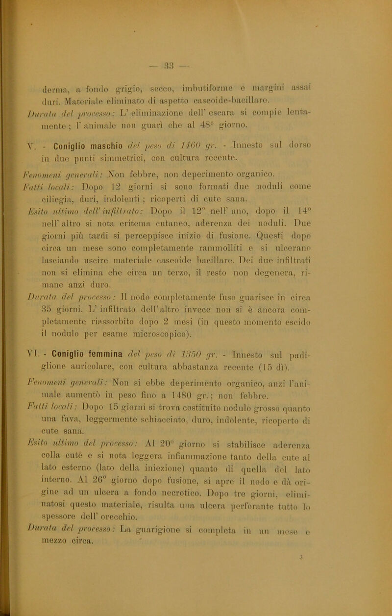 — derma, a tondo g'i'if^-io, secco, imhutitbrinc e marjj;-iiii assai duri. Materiale eliminato di aspetto caseoide-bacillare. Dtmrfd (h! prorr^'iso : L’eliminazione dell’escara si compio lenta- mente ; r animale non g'iiarì che al 48“ giorno. y. - Coniglio maschio de/ pei^o di 14(10 (/>'. - Innesto sul dorso in due punti simmetrici, con cultura recente. Fenomeni (/enera/i: Non febbre, non deperimento organico. Fnffi locali: Dopo 12 giorni si sono formati due noduli come ciliegia, duri, indolenti ; ricoperti di cute sana. /ts//o ultimo deW infdfrato: Dopo il 12 nell’mio, dopo il 14° nell’ altro si nota eritema cutaneo, aderenza dei noduli. Due giorni più tardi si perceppisce inizio di fusione. Questi dopo circa nn mese sono completamente rammolliti e si ulcerano lasciando uscire materiale caseoide bacillare. Dei due infiltrati non si elimina che circa nn terzo, il resto non degenera, ri- mane anzi duro. barata de! processo: 11 nodo completamente fuso guarisce in circa 35 giorni. 1j’ infiltrato dell’altro invece non si è ancora com- pletamente riassorbito dopo 2 mesi (in questo momento escido il nodulo per esame microscopico). YI. - Coniglio femmina del peso di 1350 gr. - Innesto sul padi- glione auricolare, con cultura abbastanza recente (15 dì). Fenomeni generali: Non si ebbe deperimento organico, anzi l’ani- male aumentò in peso fino a 1480 gr. ; non febbre. Fatti locati: Dopo 15 giorni si trova costituito nodulo grosso quanto una fava, leggermente schiacciato, duro, indolente, ricoperto di cute sana. Esito ultimo del processo: Al 20° giorno si stabilisce aderenza colla cute e si nota leggera infiammazione tanto della cute al lato esterno (lato della iniezione) quanto di quella del lato interno. Al 26° giorno dopo fusione, si apre il nodo e dà ori- gine ad un ulcera a fondo necrotico. Dopo tre giorni, elimi- natosi questo materiale, risulta una ulcera perforante tutto lo spessore dell’ orecchio. Durata del processo: La guarigione si completa, in nn mese v mezzo circa.