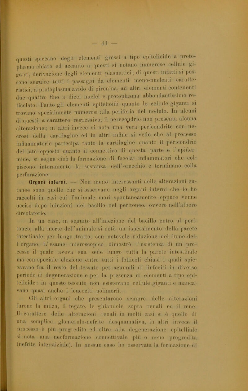 48 — 1- (jiiesti spiccano (le^-li okMiioiiti «tossì a tipo cpitolioido a proto plasma chiaro cui accanto a (picsti si notano luuncroso cellnlo «- «■aliti, derivazione deg'li elementi plasmatici; di questi intatti si pos- sono se«’iiire tatti i passaggi da elementi mono-nucleati caratte- ristici, a protoplasma avido di pii'onina, ad altri elementi contenenti due ([uattro fino a dieci nuclei e protoplasma abbondantissimo re- ticolato. 'fanto «’li elementi epitelioidi quanto le cellule «•ig'anti si trovano specialmente numerosi alla periferia del nodulo. In alcuni di questi, a carattere regressivo, il pereco^idriu non presenta alcuna alterazione; in altri invece si nota una vera pericondrite con ne- crosi della cartilagine ed in altri infine si vede che al processo infiammatorio partecipa tanto la cartilagine quanto il pericondrio del lato opposto quanto il connettivo di questa parte e l’epider- mide, si segue cioè la formazione di focolai infiammatori che col- piscono interamente la sostanza dell’orecchio e terminano colla perforazione. Organi interni. — Non meno interessanti delle alterazioni cu- tanee sono (juelle che si osservano negli organi interni che io ho raccolti in casi cui ranimale morì sjìontaneaniente oppure venne ucciso dopo iniezioni del bacillo nel peritoneo, ovvero neiralliero circolatorio. In un caso, in seguito airiniezione del bacillo entro al peri- toneo, alla morte deirauimale si notò un ispessimento della parete intestinale per lungo tratto, con notevole riduzione del lume del- l’organo. L’esame microscopico dimostrò l’esistenza di un j)ro- cesso il quale aveva sua sede lungo tutta la parete intestinale ma con speciale elezione entro tutti i follicoli chiusi i (|uali spic- cavano fra il resto del tessuto per acnmuli di linfociti in diverso periodo di degenerazione e per la j)resenza di elementi a tipo epi- telioide: in questo tessuto non esistevano cellule giganti e manca- vano quasi anche i leucociti polimorfi. Gli altri organi che presentarono sempre delle alterazioni furono la milza, il fegato, le ghiandole sopra renali ed il rene. Il carattere delle alterazioni renali in molti casi si è (inolio di una semplici! glomernlo-nefritcì des(|namativa, in alti’i invece il processo è più progi’cdito ed oltre alla degenerazione epitelliale si nota una neoformazione connettivale più o meno progredita (neirite interstiziale). In nessun caso ho osservata la formazione di