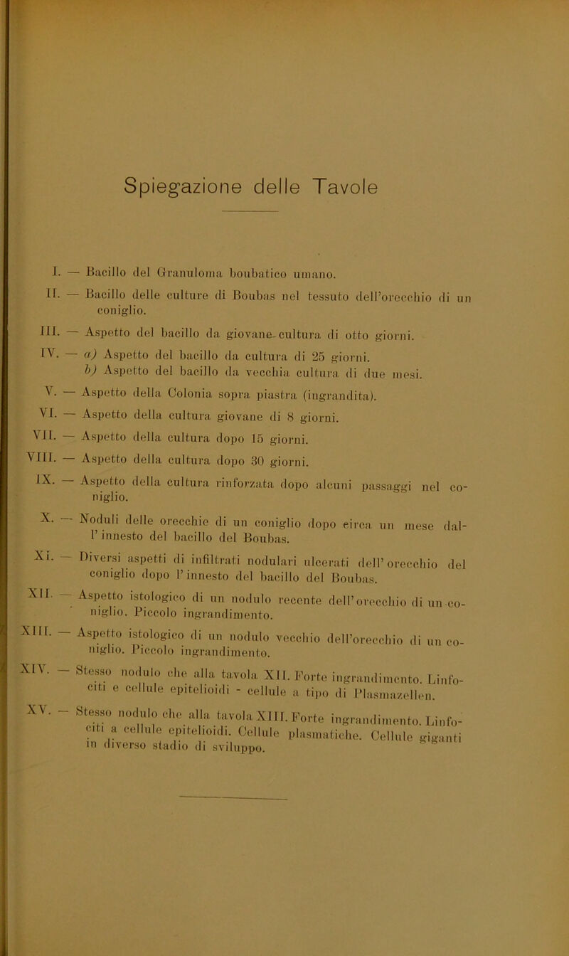 Spiegazione delle Tavole j. 11. 111. IV. V. VI. VII. vni. IX. X. Xi. - xir. - XIII. - XIV. - XV. - — Biicillo ilei Gnimiloma boubaiico umano. Bacillo delle culture di Boubas nel tessuto dell’orecchio di un coniglio. Aspetto del bacillo da giovane-cultura di otto giorni. a) Aspetto del bacillo da cultura di 25 giorni. h) Aspetto del bacillo da vecchia cultura di due mesi. Aspetto della Colonia sopra piastra (ingi'andita). Aspetto della cultura giovane di 8 giorni. Aspetto della cultura dopo 15 gionii. Aspetto della cultura dopo 30 giorni. Aspetto della cultura rinto)’za,t<a dopo alcuni passaggi nel co- niglio. Noduli delle orecchie di un coniglio dopo circa un mese dal- 1’ innesto del bacillo del Boubas. - Diversi aspetti di infiltrati nodulari ulcerati dell’orecchio del coniglio dopo l’innesto del bacillo del Boubas. - Aspetto istologico di un nodulo recente dell’orecchio di un co- niglio. Piccolo ingrandimento. ■ Aspetto istologico di un nodulo vecchio dell’orecchio di un co- niglio. Piccolo ingrandimento. Steso 1,0,h,lo olio alla, tavola XII. F„,-lc n,g,-a,„li,„o„lo. Liolo- Citi e cellule epitelioidi - cellule a tijio di Plasma/.ellen. ■Steso notlolo oho alla tavola XI11. Forte log,.,,,, Linlo- oit, a eellule ci>itelioi,li. Cellule |,l,isi„allel,o. Cellule gigauti in diverso stadio di sviluppo.