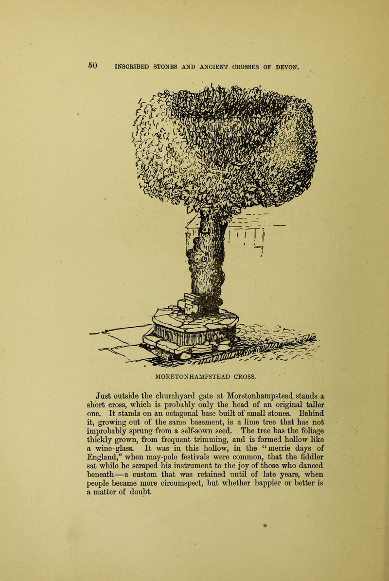 MORETONHAMPSTEAD CROSS. Just outside the churchyard gate at Moretonhampstead stands a short cross, which is probably only the head of an original taller one. It stands on an octagonal base built of small stones. Behind it, growing out of the same basement, is a lime tree that has not improbably sprung from a self-sown seed. The tree has the foliage thickly grown, from frequent trimming, and is formed hollow like a wine-glass. It was in this hollow, in the “ merrie days of England,” when may-pole festivals were common, that the fiddler sat while he scraped his instrument to the joy of those who danced beneath—a custom that was retained until of late years, when people became more circumspect, but whether happier or better is a matter of doubt.