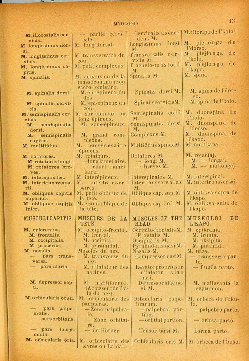 M. illocostalis cer- vicis. M. longissimus dor- si. M. longissimus cer- vicis. M. longissimus ca- pitis. M. spinalis. M. spinalis dorsi. M. spinalis cervi- cis. M. semispinalis cer- vicis. M. semispinalis dorsi. M. semispinalis capitis. M. multifidus. M. rotatores. M. rotatores longi. M. rotatores bre- ves. M. interspinales. M. intertransversa- rii. M. obliquus capitis superior. M. obliquus capitis infer. MUSGULI CAPITIS. M. epicranius. M. frontalis. M. occipitalis. M. procerus. M. nasalis. — pars trans- versa. — pars alaris. M. depressor sep- ti. M. orbicularis oculi. — para palpe- bralis. — pars orbitalis. — pars laci’y- malis. M. orbicularis oris. — partie cervi- cale. M. long dorsal. M. transversaire du cou. M. petit com plexus. M. spinaux ou de la masse commune ou sacro-lombaire. M.epi-epineux du dos. M. epi-epineux du cou. M. sur-epincux ou long epineux. M. sous-epineux. M. grand corn- plexus. M. transversaire epineux. M. rotateurs. — longlamellaire. — court lamel- laire. M. interepineux. M. intertransver- saires. M. petit oblique de la tete. M. grand oblique de la t6te. MUSCLES DE LA TfiTE. M. occipito-frontal. M. frontal. M. occipital. M. pyramidal. Muscles du nez. M. transverse du nez. M. dilalateur lies narines. M. my rti forme. (Abaisseurdc I’ai- le du nez). M. orbiculairc des paupiercs. — Zone palpebra- Ic. — Zone orbitai- re. — de Horner. M. orbiculaire des levres ou Labial. Cervicalis a seen- dens M. Longissimus dorsi M. Transversalis cer- vicis M. T rach e 1 o- m a s 10 i d M. Spinalis M. Spinalis dorsi M. SpinaliscervicisM. Semispinalis colli M. Semispinalis dorsi M. Complexes M. Multifidus spinaeM. Rotatores M. — longi M. —breves M. Interspinales M. Intertransvcrsales M. Obliqus cap. sup. M. Obliqus cap. inf. M. MUSCLES OF THE HEAD. Occipito-frontalisM. Frontalis M. Occipitalis M. Pyramidalis nasi M. Nasalis M. Com]>ressor iiasiM. Levatorpropriusor dilatator a lac nasi. Depressor alac na- si M. Orbicularis palpe- brarum. — ]>alpebral por- tion. — orbital portion. Tensor tarsi M. Orbicularis oris M. 13 M.ilioripade I’kolo- M. plejlonga cl e I’dorso. M. plejlonga de I’kolo. M. plejlonga de I’kapo. M. spina. M. spina de I’dor- so. M. spina de I’kolo. M. duonspina de I’kolo. M. duonspina do I’dorso. M. duonspina de I’kapo. M. multkapa. M. rotaciaj. M. — longaj. M. — mallongaj. M. interspinaj. M. intertransversaj. M. oblikva supra de I’kapo. M. oblikva suba de I'kapo. MUSKOLOJ DE LKAPO. M. epikrania. M. frunta. M. oksipita. M. piramida. M. naza. — tra ns versa par- to. — fiugila parto. M. mallevanta la septumon. .M. orbeca de I’oku- lo. — palpebra parto. — orbila parto. Larina parto. M. orbeca do I'buso.