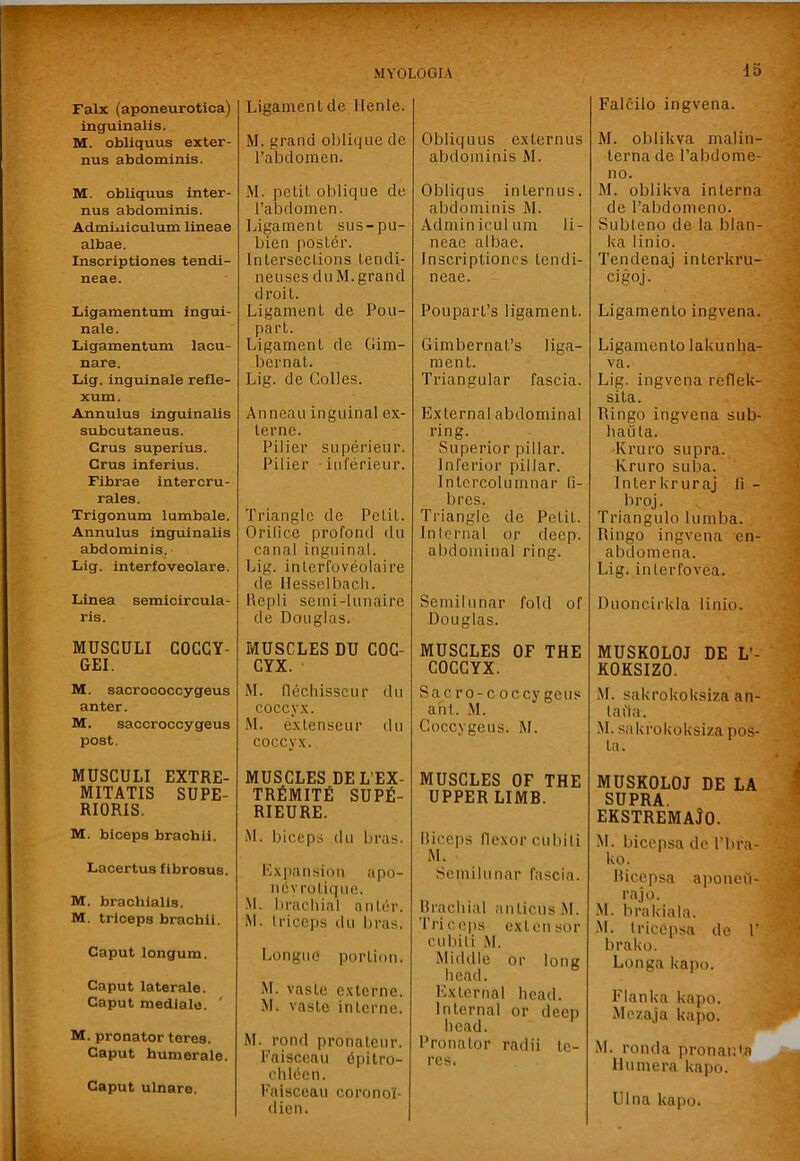 Falx (aponeurotica) inguinalis. M. obliquus exter- nus abdominis. M. obliquus inter- nus abdominis. Admiuiculum lineae albae. Inscriptiones tendi- neae. Ligamentum ingui- nale. Ligamentum lacu- nare. Llg. inguinale refle- xum. Annulus inguinalis subcutaneus. Crus superius. Crus inferius. Fibrae intercru- rales. Trigonum lumbale. Annulus inguinalis abdominis. Lig. interfoveolare. Linea semicircula- ris. MUSGULI COGGY- GEI. M. sacroooccygeus anter. M. saccroccygeus post. MUSGULI EXTRE- MITATIS SUPE- RIORIS. M. biceps braohli. Lacertus fibrosus. M. brachialis. M. triceps brachil. Caput longum. Caput later ale. Caput medlale. ' M. pronator teres. Caput humerale. Caput ulnare. Ligamentde llenle. M. grand oliliijiie de Tabdomen. M. petit oblique de I’abdomen. Ligament sus-pu- bien poster. Intersections tendi- neuses diiM. grand droit. Ligament de Pou- part. Ligament de Gim- bernat. Lig. de Colles. Anneau inguinal ex- lerne. Pilier superieur. Pilier inferieur. Triangle de Petit. Orifice profond du canal inguinal. Lig. inlerfoveolaire de Hesselbacb. Ifepli seini-lunaire de Douglas. MUSCLES DU COC- CYX. M. flccliisscur dn COCCYX. M. extenseur du coccyx. MUSCLES DEL’EX- TRfiMITfi SUPfi- RIEURE. M. biceps du bras. l'lx])ansion apo- ncvrotique. •M. bracbial anter. iM. Iriccjis du bras. Longue portion. M. vaste extcrne. M. vaste interne. M. rond pronatenr. Faisceau dpitro- clilden. I'aisccau coronoi- (lien. Obliquus ex tern us abdominis M. Obliqus internus. abdominis M. Admin icul urn li- neae albae. Inscriptiones tendi- neae. Pouparl’s ligament. Gimbernat’s liga- ment. Triangular fascia. External abdominal ring. Superior pillar. Inferior pillar. Intcrcolumnar fi- bres. Triangle de Petit. Internal or deep, abdominal ring. Semilunar fold of Douglas. MUSCLES OF THE COCCYX. Sacro-coccvgcus ant. .M. Coccygeus. M. MUSCLES OF THE UPPER LIMB. ilieeps flexor cubili M. Semilunar fascia. Hrachial anticusiM. 'I'riceps extensor cubili M. Middle or lone head. External head. Internal or deep lieacl. Pronator radii te- res. Falcilo ingvena. M. obliUva malin- terna de I’abdome- no. M. oblikva interna de I’abdomeno. Subteno de la blan- ka linio. Tendenaj interkru- cigoj. Ligamento ingvena. Ligamento lakunha- va. Lig. ingvena reflek- sita. Ringo ingvena sub- hauta. Kruro supra. Kruro suba. Interkruraj li - broj. Triangulo lumba. Ringo ingvena en- abdomena. Lig. interfovea. Duoncirkla linio. MUSKOLOJ DE L’- KOKSIZO. iM. sakrokoksiza an- lafia. M. sakrokoksiza pos- la. MUSKOLOJ DE LA SUPRA. ekstremaJo. M. bicepsa de I’bra- ko. Ricepsa aponeii- rajo. M. brakiala. .M. Irice]>sa do 1’ brako. Longa ka]io. Flanka kapo. Mezaja kapo. M. ronda pronaiD^ Huniera kapo. Ulna kapo.