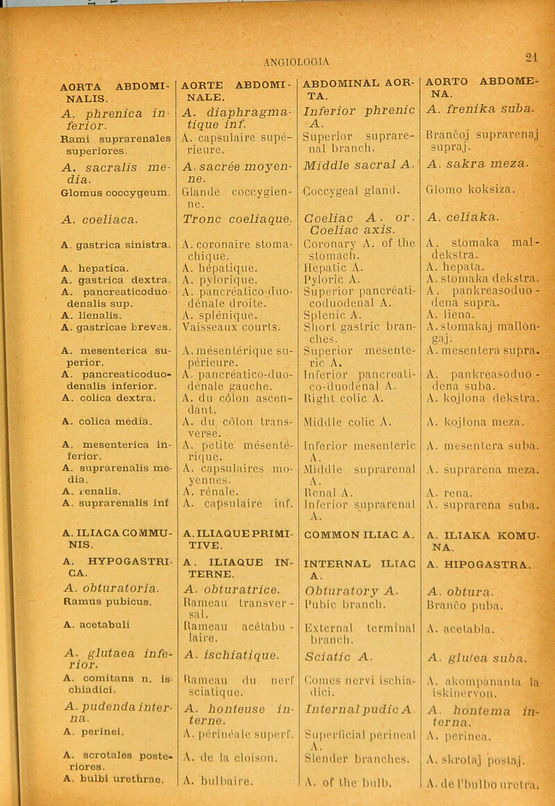 AORTA ABDOMI- NALIS. A. phrenica in- ferior. Rami suprarenales superiores. A. sacralis me- dia. Glomus coocygeum. A. coeliaca. A. gastrica sinistra. A. hepatica. A. gastrica dextra. A. pancreaticoduo- denalis sup. A. lienalis. A. gastricae breves. A. mesenterica su- perior. A. pancreaticoduo- denalis inferior. A. colica dextra. A. colica media. A. mesenterica in- ferior. A. suprarenalis me- dia. A. renalis. A. suprarenalis inf A. ILIAC A COMMU- NIS. A. HYPOGASTRI- CA. A. obturatoria. Ramus pubioua. A. acetabuli A. glutaea infe- rior. A. comitans n. ia- chiadici. A. pudenda inter- na. A. perlnei. A. scrotales poste- riores. A. bulbi urethrae. AORTE ABDOMI- NALE. A. diaphragma- tique inf. A. capsiilaire supe- rieiire. A. sacree inoyen- ne. Glande coccygien- ne. Tronc coeliaque. A.coconaire stoma- chi qiie. A. hepatique. A. pylorique. A. pancreatico-dno- denale droile. A. spleniqiie. Yaisseaux courts. A. mesenterique su- perieure. A. pancreatico-duo- denale gauche. A. du colon ascen- dant. A. dn cdlon trans- verse. A. petite mesenle- ric|ue. A. capsulaircs mo- yennes. A. renalc. A. capsulaire inf. A. ILIAQUE PRIMI- TIVE. A. ILIAQUE IN- TERNE. A. obtiiratrice. Rameau transver- sal. Rameau acdtabu - lairc. A. iscliiatique. Rameau du nerf sciatique. A. honteuse in- terne. A. perineale superf. •V. tie la cloison. A. hulhaire. ABDOMINAL AOR- TA. Inferior phrenic A. Superior suprare- nal branch. Middle sacral A. Coccygeal gland. Coeliac A. or. Coeliac axis. Coronary A. of the stomach. Hepatic A. Pyloric A. Superior pancreati- coduodenal A. Splenic A. Short gastric bran- ches. Superior mesente- ric A. Inferior pancreati- co-duodenal A. Right colic A. Middle colic A. Inferior mesenteric A. Middle suprarenal A. Renal A. Inferior suprarenal A. COMMON ILIAC A. INTERNAL ILIAC A. Obturatory A. Pubic branch. H.xtcrnal terminal branch. Sciatic A. Comes nervi ischia- dici. Internal piidic A. Superlicial pei'ineal A. Slender branches. A. of the bull). AORTO ABDOME- NA. A. frenika suba. Brancoj suprarenaj supraj. A. sakra ineza. Glomo koksiza. A. celiaka. A. stomaka mal- dekstra. A. hepata. A. stomaka dekstra. .4. pankreasoduo- dena supra. .4. liena. A.stomakaj mallon- gi'j- A. mescntera supra. A. pankreasoduo - dena suba. A. kojlona dekstra. A. kojlona meza. A. in esc n I era suba. .4. suprarena meza. .4. rena. .\. suprarena suba. A. ILIAKA KOMU- NA. A. HIPOGASTRA. A. obtura. Rranco pulia. A. acelabla. A. glidea suba. .\. akompananla la iskim'i’von. A. hontema in- terna. A. perinea. A. skrolaj postaj. A. dc I’bulbo uretra.