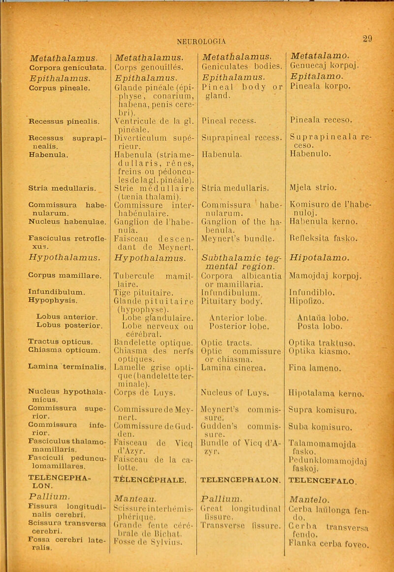 Metathalamus. Corpora geniculata. Epithalamus. Corpus pineale. Recessus pinealis. Recessus suprapi- nealis. Habenula. Stria meduUaris. Commissura habe- nular um. Nucleus habenulae. Fasciculus retrofle- xus. Hypothalamus. Corpus mamillare. Inf undibulum. Hypophysis. Lobus anterior. liObus posterior. Tractus opticus. Chiasma opticum. Lamina terminalis. Nucleus hypothala- micus. Commissura supe- rior. Commissura infe- rior. Fasciculus thalamo- mamillaris. Fasciculi peduncu- lomamillares. TELENCEPHA- LON. Pallium. Flssura longitudi- nalis cerebri. Scissura transversa cerebri. Fossa cerebri late- ralis. Metathalamus. Corps genoiiilles. Epithalamus. Gl?inde pineale (epi- pliyse, connriiim, iiabena, penis cere- bri). Vcntricnle de la gl. pineale. DivcrlicnUiin supe- rienr. Habenula (striaine- d n 11 a ris, re n es, freins on pedoncn- lesdelagl. pineale). Slide medullaire (Ucnia lhalami). Commissure inter- babeniilaire. Ganglion de I’habe- nula. Faisceau descen- dant de .Mcynert. Hypothalamus. Tubercnie mamil- laire. Tige pituitaire. Glandc pituitaire (hypopb yse). Lobe glandulaire. Lobe nerveux ou cerebral. Bandelelte oplique. Chiasma des nerfs opti(]ues. Lameilc grise opti- que(bandeletle ler- minalc). Corps do Liiys. Commissure de Mey- nert. Commissure deGud- den. Faisceau do Vicq d’Azyr. I'aisceau de la ca- lotte. TELENCEPHALE. Manteau. Scissiirc inlcrlitduis- pheriipie. Gi'ando fenie cdro- bralc de Itichat. Fosse de Sylvius. Metathalamus. Geniculates bodies. Epithalamus. Pineal body or gland. Pineal recess. Suprapineal recess. Habenula. Stria meduUaris. Commissura babe- niilarum. Ganglion of the ha- benula. Meynert’s bundle. Subthalamic teg- mental region. Corpora albican tia or mamillaria. Inrundibulum. Pituitary body. ■Anterior lobe. Posterior lobe. Optic tracts. Optic commissure or chiasma. Lamina cineuca. Nucleus of luiys. Meynert’s commis- .surc. Gudden’s comiuis- su re. llundle of Vicq d’A- zyr. TELENCEPHALON. Pallium. Great longitudinal lissiirc. Transverse lissurc. Metatalamo. Gcnuecaj Icorpoj Epitalamo. Pineala Uorpo. Pineala receso. S u p r a p i n e a 1 a re- ceso. Habenulo. Mjela strio. Komisuro de Phabe- nuloj. Habenula Uerno. Refleksita fasko. Hipotalamo. Mamojdaj korpoj. Infundiblo. llipofizo. Anlaila lobo. Posta lobo. Optika Irakluso. Optika kiasmo. Fina lameno. Hipolalama kerno. Su|ira komisuro. Suba komisuro. Talamomamojda fasko. Pedunklomamoidai faskoj. TELENGEFALO. Mantelo. Cerba lafilonga fen- do. Cerba transversa fendo. Flanka cerba fovco.