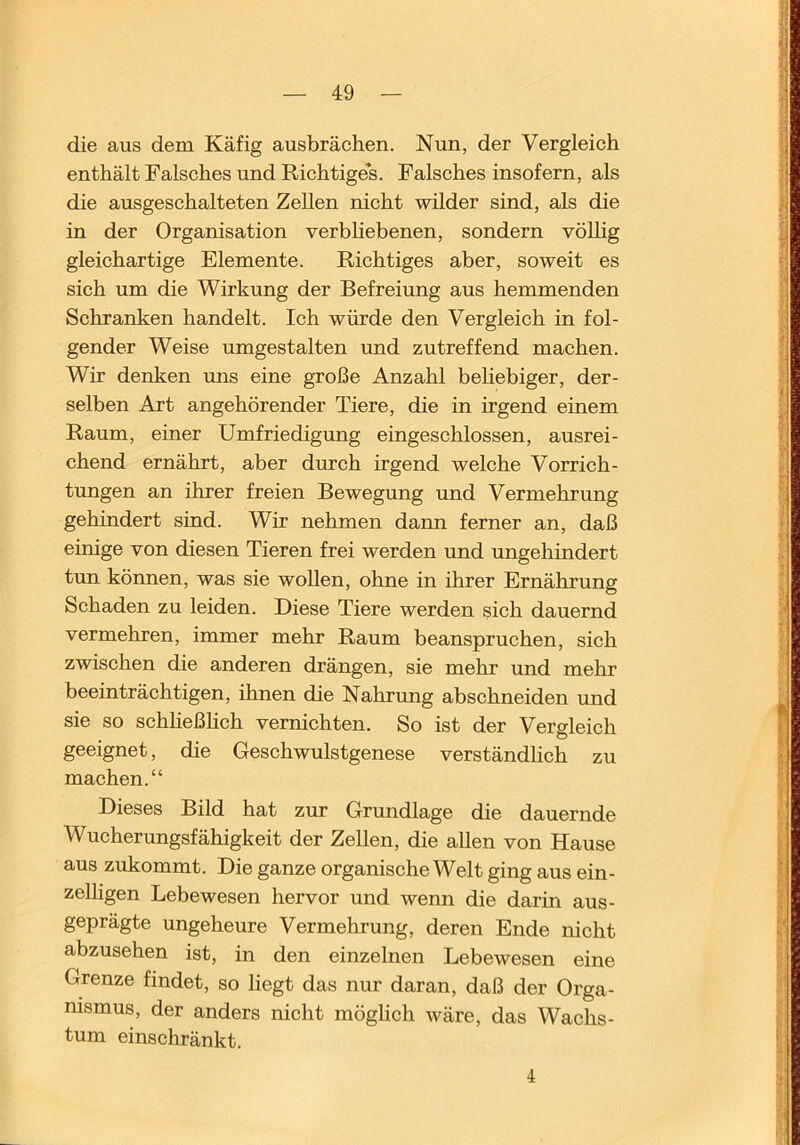 die aus dem Käfig ausbrächen. Nun, der Vergleich enthält Falsches und Richtiges. Falsches insofern, als die ausgeschalteten Zellen nicht wilder sind, als die in der Organisation verbliebenen, sondern vöUig gleichartige Elemente. Richtiges aber, soweit es sich um die Wirkung der Befreiung aus hemmenden Schranken handelt. Ich würde den Vergleich in fol- gender Weise umgestalten und zutreffend machen. Wir denken uns eine große Anzahl behebiger, der- selben Art angehörender Tiere, die in irgend einem Raum, einer Umfriedigung eingeschlossen, ausrei- chend ernährt, aber durch irgend welche Vorrich- tungen an ihrer freien Bewegung und Vermehrung gehindert sind. Wir nehmen dann ferner an, daß einige von diesen Tieren frei werden und ungehindert tun können, was sie wollen, ohne in ihrer Ernährung Schaden zu leiden. Diese Tiere werden sich dauernd vermehren, immer mehr Raum beanspruchen, sich zwischen die anderen drängen, sie mehr und mehr beeinträchtigen, ihnen die Nahrung abschneiden und sie so schheßhch vernichten. So ist der Vergleich geeignet, die Geschwulstgenese verständlich zu machen.“ Dieses Bild hat zur Grundlage die dauernde Wucherungsfähigkeit der Zellen, die allen von Hause aus zukommt. Die ganze organische Welt ging aus ein- zelligen Lebewesen hervor und wenn die darin aus- geprägte ungeheure Vermehrung, deren Ende nicht abzusehen ist, in den einzelnen Lebewesen eine Grenze findet, so liegt das nur daran, daß der Orga- nismus, der anders nicht möglich wäre, das Wachs- tum einschränkt. 4