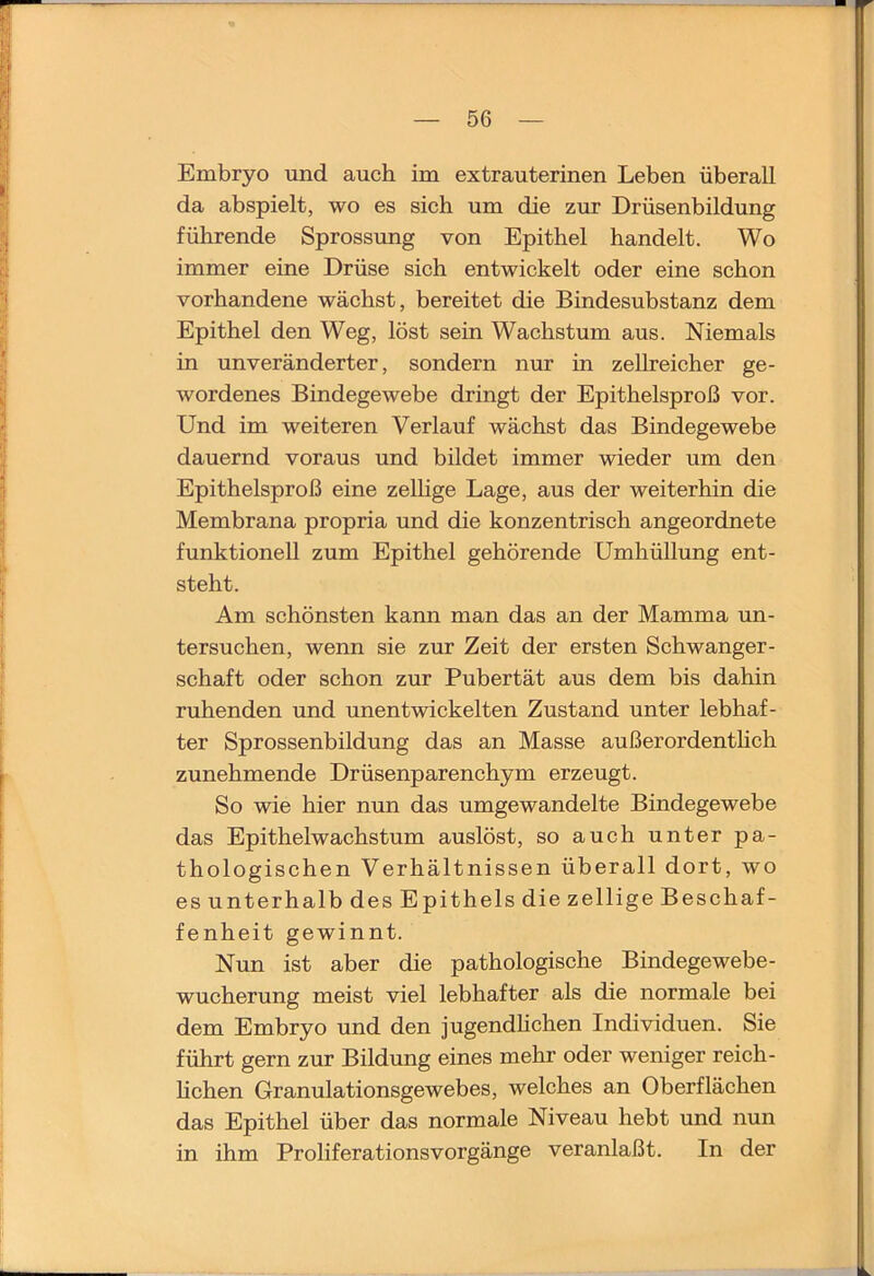 Embryo und auch im extrauterinen Leben überall da abspielt, wo es sich um die zur Drüsenbildung führende Sprossung von Epithel handelt. Wo immer eine Drüse sich entwickelt oder eine schon vorhandene wächst, bereitet die Bindesubstanz dem Epithel den Weg, löst sein Wachstum aus. Niemals in unveränderter, sondern nur in zellreicher ge- wordenes Bindegewebe dringt der Epithelsproß vor. Und im weiteren Verlauf wächst das Bindegewebe dauernd voraus und bildet immer wieder um den Epithelsproß eine zelhge Lage, aus der weiterhin die Membrana propria und die konzentrisch angeordnete funktionell zum Epithel gehörende Umhüllung ent- steht. Am schönsten kann man das an der Mamma un- tersuchen, wenn sie zur Zeit der ersten Schwanger- schaft oder schon zur Pubertät aus dem bis dahin ruhenden und unentwickelten Zustand unter lebhaf- ter Sprossenbildung das an Masse außerordenthch zunehmende Drüsenparenchym erzeugt. So wie hier nun das umgewandelte Bindegewebe das Epithelwachstum auslöst, so auch unter pa- thologischen Verhältnissen überall dort, wo es unterhalb des Epithels die zellige Beschaf- fenheit gewinnt. Nun ist aber die pathologische Bindegewebe- Wucherung meist viel lebhafter als die normale bei dem Embryo und den jugendhchen Individuen. Sie führt gern zur Bildung eines mehr oder weniger reich- hchen Granulationsgewebes, welches an Oberflächen das Epithel über das normale Niveau hebt vmd nun in ihm Proliferationsvorgänge veranlaßt. In der