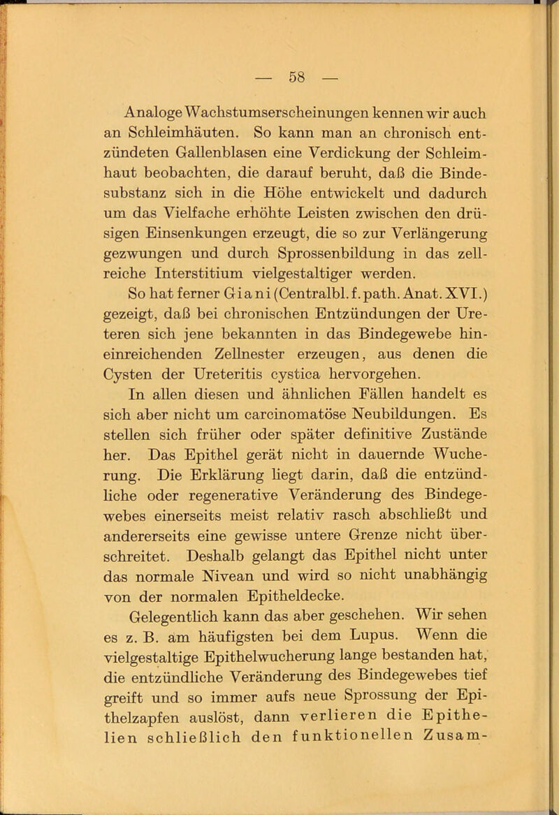 Analoge Wachstumserscheinungen kennen wir auch an Schleimhäuten. So kann man an chronisch ent- zündeten Gallenblasen eine Verdickung der Schleim- haut beobachten, die darauf beruht, daß die Binde- substanz sich in die Höhe entwickelt und dadurch um das Vielfache erhöhte Leisten zwischen den drü- sigen Einsenkungen erzeugt, die so zur Verlängerung gezwungen und durch Sprossenbildung in das zell- reiche Interstitium vielgestaltiger werden. So hat ferner Giani (Centralbl.f.path. Anat.XVI.) gezeigt, daß bei chronischen Entzündungen der Ure- teren sich jene bekannten in das Bindegewebe hin- einreichenden Zellnester erzeugen, aus denen die Cysten der Ureteritis cystica hervorgehen. In allen diesen und ähnlichen Fällen handelt es sich aber nicht um carcinomatöse Neubildungen. Es stellen sich früher oder später definitive Zustände her. Das Epithel gerät nicht in dauernde Wuche- rung. Die Erklärung Hegt darin, daß die entzünd- Hche oder regenerative Veränderung des Bindege- webes einerseits meist relativ rasch abschheßt und andererseits eine gewisse untere Grenze nicht über- schreitet. Deshalb gelangt das Epithel nicht unter das normale Nivean und wird so nicht unabhängig von der normalen Epitheldecke. GelegentHch kann das aber geschehen. Wir sehen es z. B. am häufigsten bei dem Lupus. Wenn die vielgestaltige Epithelwucherung lange bestanden hat, die entzündhche Veränderung des Bindegewebes tief greift und so immer aufs neue Sprossung der Epi- thelzapfen auslöst, dann verlieren die Epithe- lien schließlich den funktionellen Zusam-