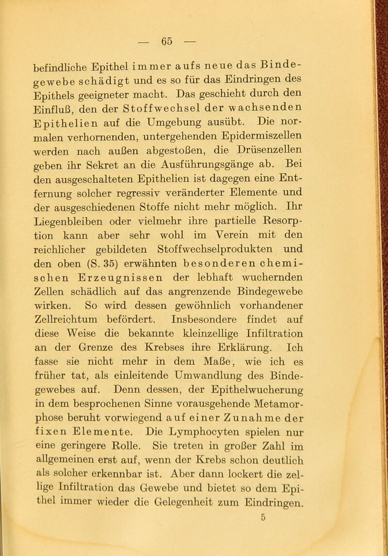 befindliche Epithel immer aufs neue das Binde- gewebe schädigt und es so für das Eindringen des Epithels geeigneter macht. Das geschieht durch den Einfluß, den der Stoffwechsel der wachsenden Epithelien auf die Umgebung ausübt. Die nor- malen verhornenden, untergehenden Epidermiszellen werden nach außen abgestoßen, die Drüsenzellen geben ihr Sekret an die Ausführungsgänge ab. Bei den ausgeschalteten Epithelien ist dagegen eine Ent- fernung solcher regressiv veränderter Elemente und der ausgeschiedenen Stoffe nicht mehr möglich. Ihr Liegenbleiben oder vielmehr ihre partielle Resorp- tion kann aber sehr wohl im Verein mit den reichlicher gebildeten Stoffwechselprodukten und den oben (S. 35) erwähnten besonderen chemi- schen Erzeugnissen der lebhaft wuchernden Zellen schädhch auf das angrenzende Bindegewebe wirken. So wird dessen gewöhnlich vorhandener Zellreichtum befördert. Insbesondere findet auf diese Weise die bekannte kleinzeUige Infiltration an der Grenze des Krebses ihre Erklärung. Ich fasse sie nicht mehr in dem Maße, wie ich es früher tat, als einleitende Umwandlung des Binde- gewebes auf. Denn dessen, der Epithelwucherung in dem besprochenen Sinne vorausgehende Metamor- phose beruht vorwiegend auf einer Zunahme der fixen Elemente. Die Lymphocyten spielen nur eine geringere RoUe. Sie treten in großer Zahl im allgemeinen erst auf, wenn der Krebs schon deutlich als solcher erkennbar ist. Aber dann lockert die zel- lige Infiltration das Gewebe und bietet so dem Epi- thel immer wieder die Gelegenheit zum Eindringen. 5