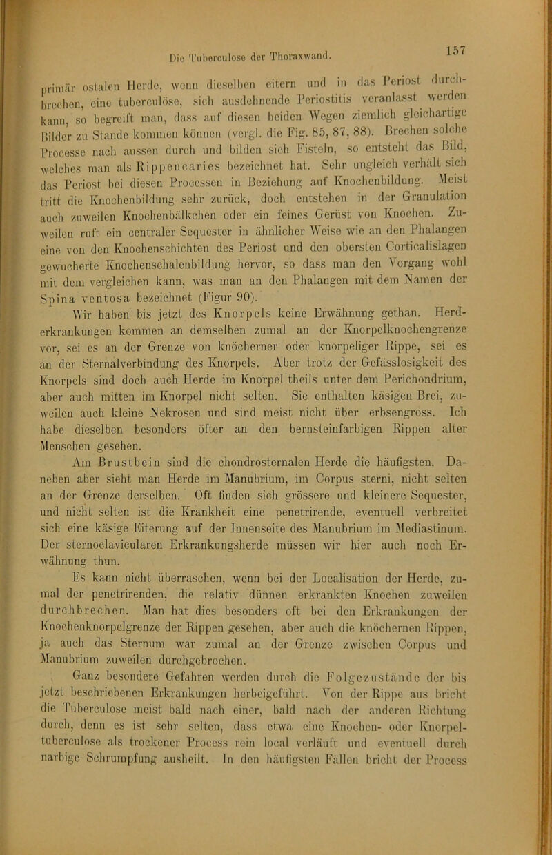 Die Tuberoulose der Thoraxwand. primär ostaleii Herde, wenn dieselben eitern und in das l’eriost dnrch- breclien, eine tubercnlöse, sieb aiisdelinende Periostitis veranlasst werden kann, so begreift man, dass auf diesen beiden Wegen ziemlieb glciehartigc Bilder zu Stande kommen können (vergl. die Fig. 85, 87, 88). Preehen solelic Proeesse naeli aussen dureh und bilden sich Fisteln, so entsteht das Bild, welches man als Rippenearies bezeichnet hat. Sehr ungleich verhält sich das Periost bei diesen Processen in Beziehung auf Knochenbildung. Meist tritt die Knochenbildung sehr zurück, doch entstehen in der Granulation auch zuweilen Knochcnbälkchen oder ein feines Gerüst von Knochen. Zu- weilen ruft ein centraler Sec[uester in ähnlicher Weise wie an den Phalangen eine von den Kiiochenschichten des Periost und den obersten Corticalislagen gewucherte Knochenschalenbildung hervor, so dass man den Vorgang wohl mit dem vergleichen kann, was man an den Phalangen mit dem Namen der Spina ventosa bezeichnet (Figur 90). Wir haben bis jetzt des Knorpels keine Erwähnung gethan. Herd- erkrankungen kommen an demselben zumal an der Knorpelknochengrenze vor, sei es an der Grenze von knöcherner oder knorpeliger Rippe, sei es an der Sternalverbindung des Knorpels. Aber trotz der Gefässlosigkeit des Knorpels sind doch auch Herde im Knorpel theils unter dem Perichondrium, aber auch mitten im Knorpel nicht selten. Sie enthalten käsigen Brei, zu- weilen auch kleine Nekrosen und sind meist nicht über erbsengross. Ich habe dieselben besonders öfter an den bernsteinfarbigen Rippen alter Menschen gesehen. Am Brustbein sind die chondrosternalen Herde die häufigsten. Da- neben aber sieht man Herde im Manubrium, im Corpus sterni, nicht selten an der Grenze derselben. Oft finden sich grössere und kleinere Sequester, und nicht selten ist die Krankheit eine penetrirende, eventuell verbreitet sich eine käsige Eiterung auf der Innenseite des Manubrium im Mediastinum. Der sternoclavicularen Erkrankungsherde müssen wir liier auch noch Er- wähnung thun. Es kann nicht überraschen, wenn bei der Localisation der Herde, zu- mal der penetrirenden, die relativ dünnen erkrankten Knochen zuweilen durchbrechen. Man hat dies besonders oft bei den Erkrankungen der Knochenknorpelgrenze der Rippen gesehen, aber auch die knöchernen Rippen, ja auch das Sternum war zumal an der Grenze zwischen Corpus und Manubrium zuweilen durchgebrochen. , Ganz besondere Gefahren werden durch die Folgczustände der bis jetzt beschriebenen Erkrankungen herbeigeführt. Von der Rippe aus bricht die Tuberculose meist bald nach einer, bald nach der anderen Richtung durch, denn es ist sehr selten, dass etwa eine Knochen- oder Knorpel- tuberculosc als trockener Process rein local verläuft und evenluell durch narbige Schrumpfung ausheilt, ln den häufigsten Fällen bricht der Process