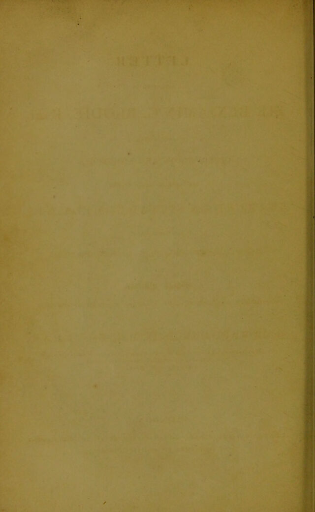 digitised image 2