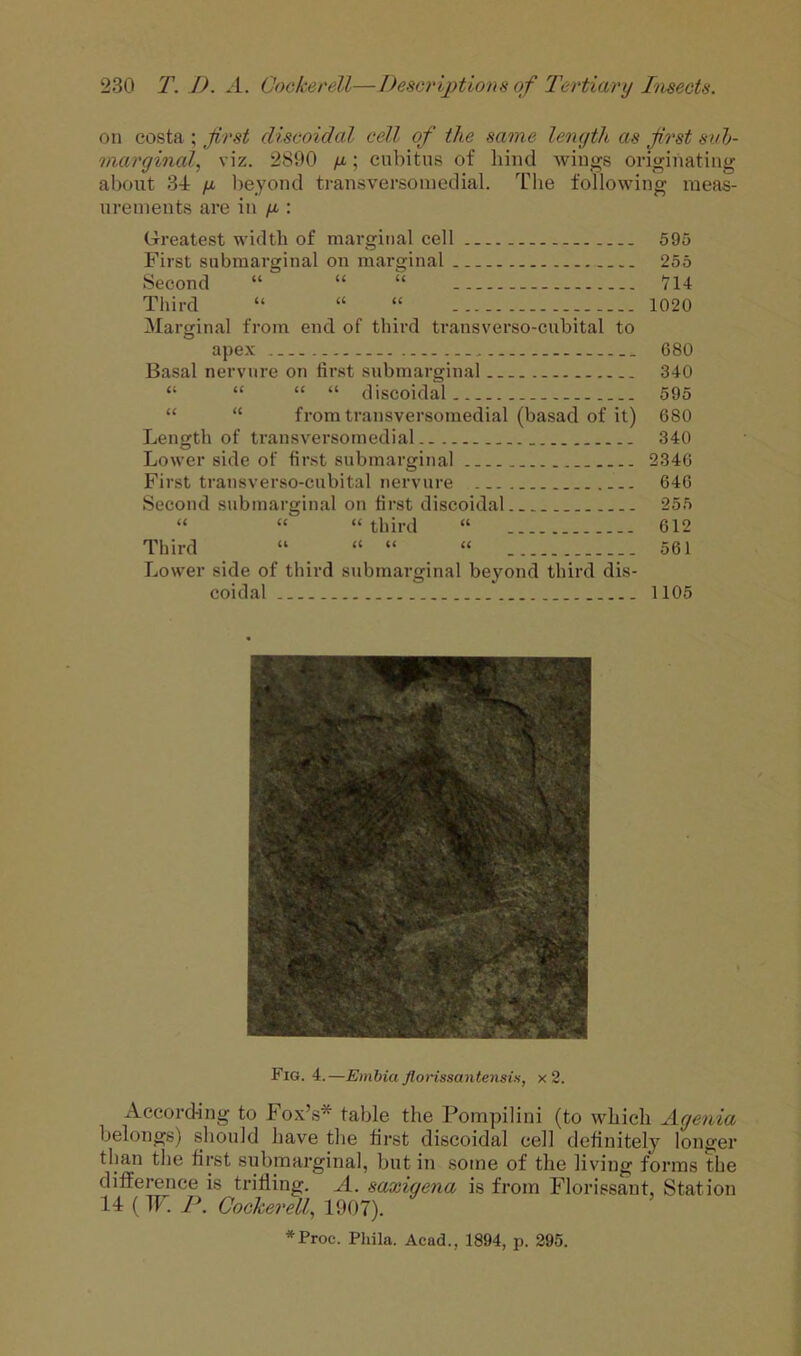 on costa ; first discoidal cell of the same lenyth as first svh- marginal, viz. 2890 y; cubitus of bind wings originating about 3d y beyond transversoniedial. The following meas- urements are in y : Greatest width of marginal cell 595 First submarginal on marginal 255 Second “ “ “ — V14 Third “ “ “ 1020 Marginal from end of third transverso-cubital to apex 680 Basal nervnre on tir.st submarginal 340 “ “ “ “ discoidal 595 “ “ from transversoniedial (basad of it) 680 Length of transversoniedial 340 Lower side of fir.st submarginal 2346 First transverso-cubital nervnre 646 Second submarginal on first discoidal 255 “ “ “ third “ 612 Third “ “ “ “ 561 Lower side of third submarginal beyond third dis- coidal 1105 Fig. 4.—Embia florissantensis, x 2. According to Fox’s* table the Pompilini (to which Ayenia belongs) should have the first discoidal cell definitely longer than the first submarginal, but in some of the living forms the difference is trifling. A. saxigena is from Florissant, Station If (TF. P. Cockerell^ 1907). *Proc. Phila. Acad., 1894, p. 295.